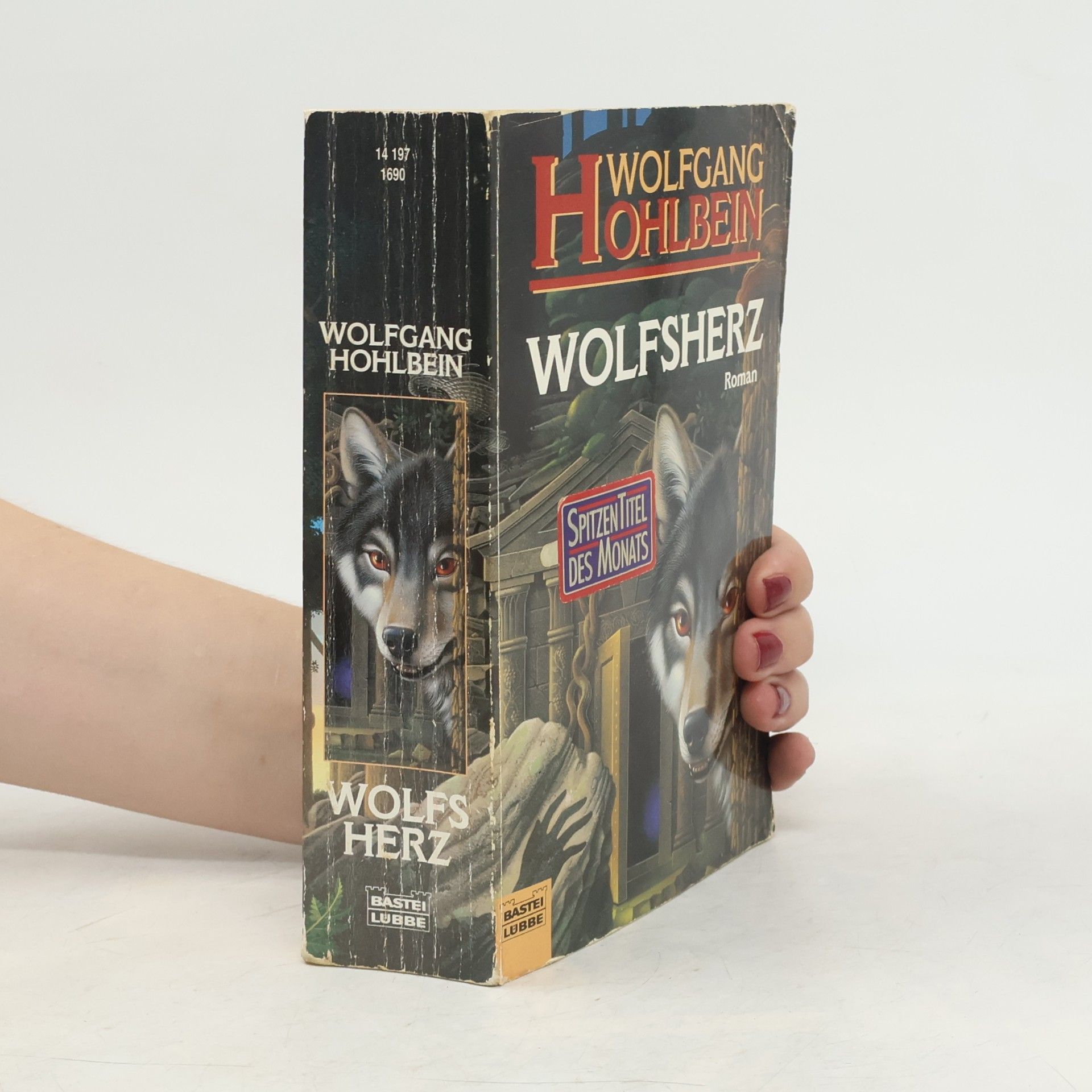 Wolfgang Hohlbein Wolfsherz