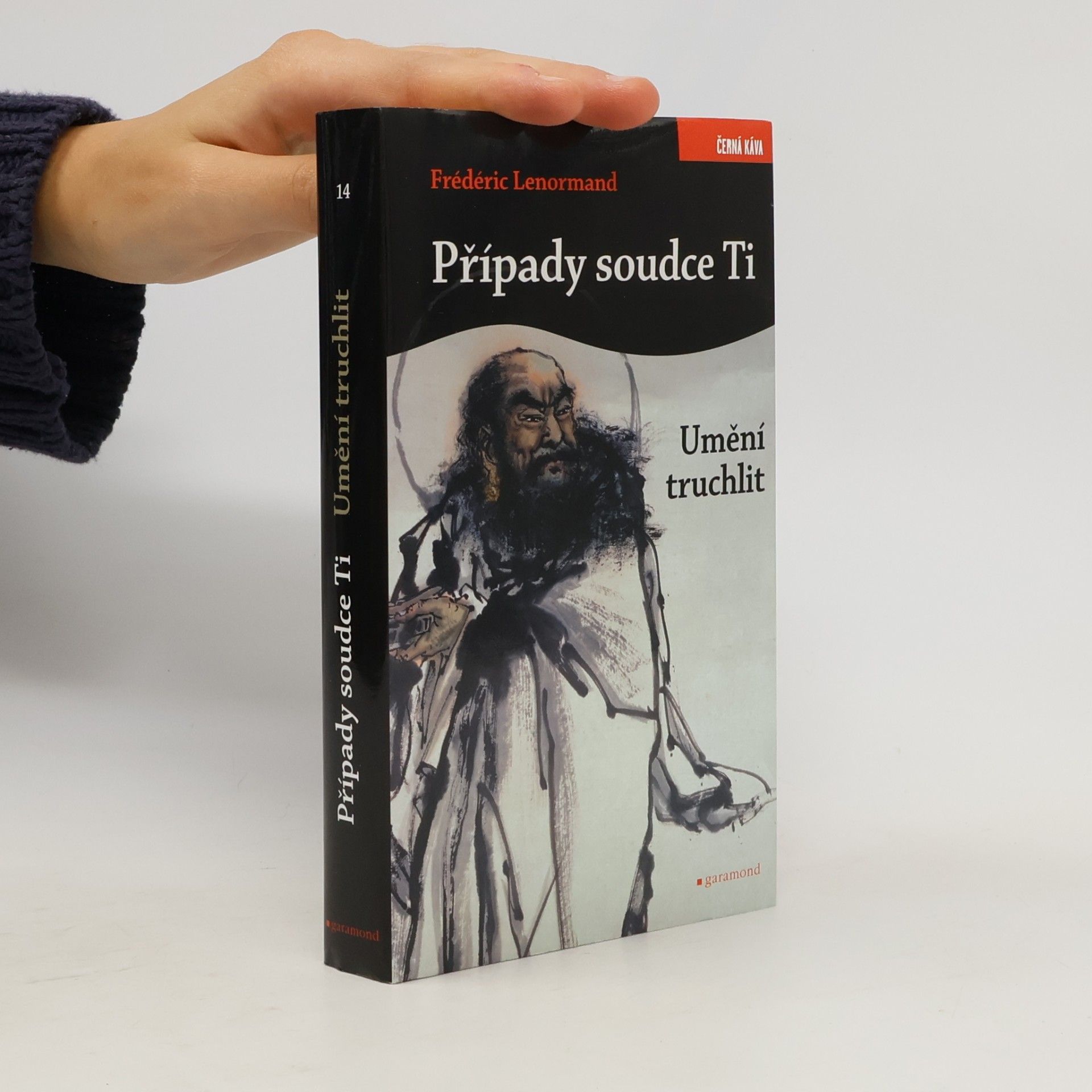 Frédéric Lenormand Případy soudce Ti. Umění truchlit