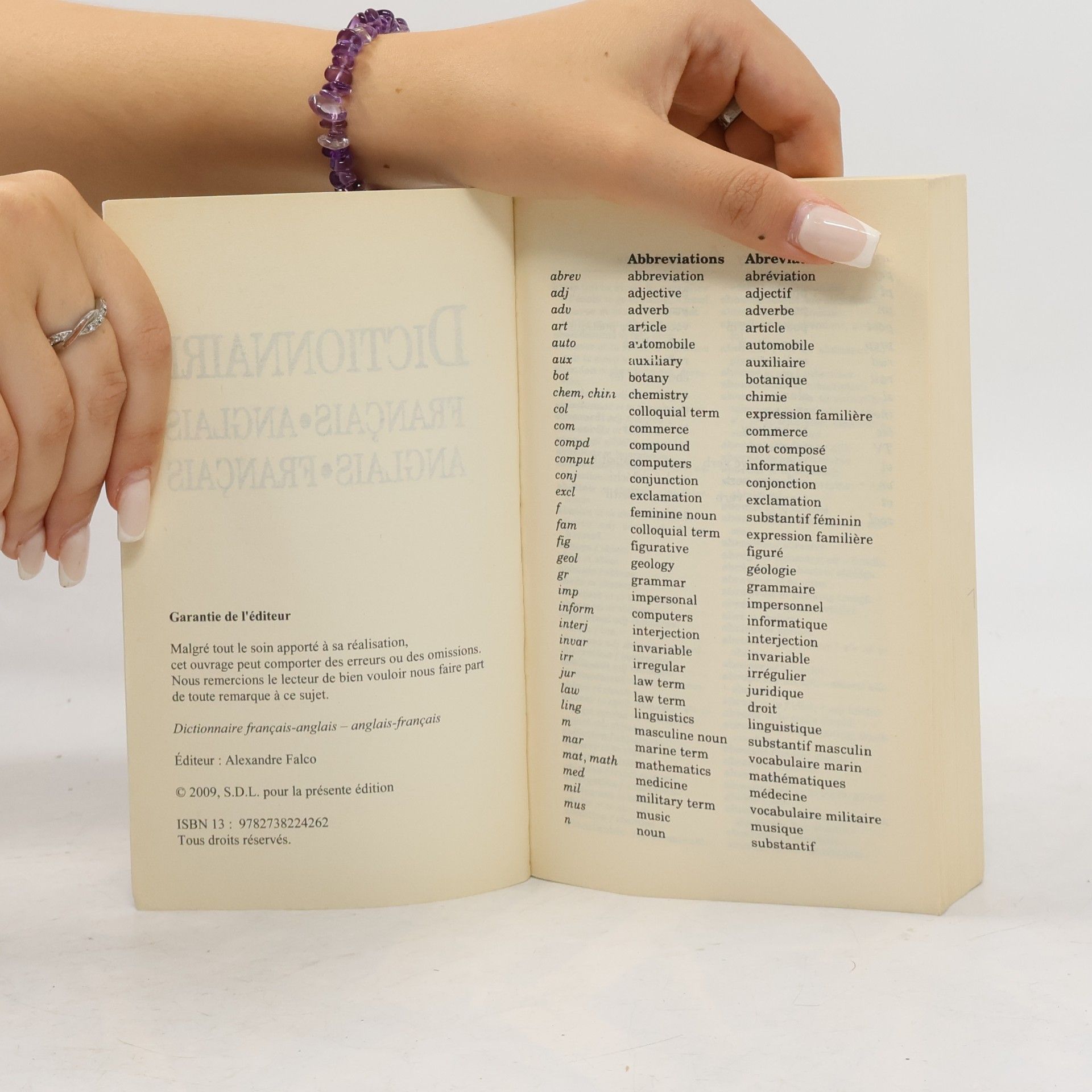 Alexandre Falco Succès poche: Dictionnaire français-anglais et anglais-français
