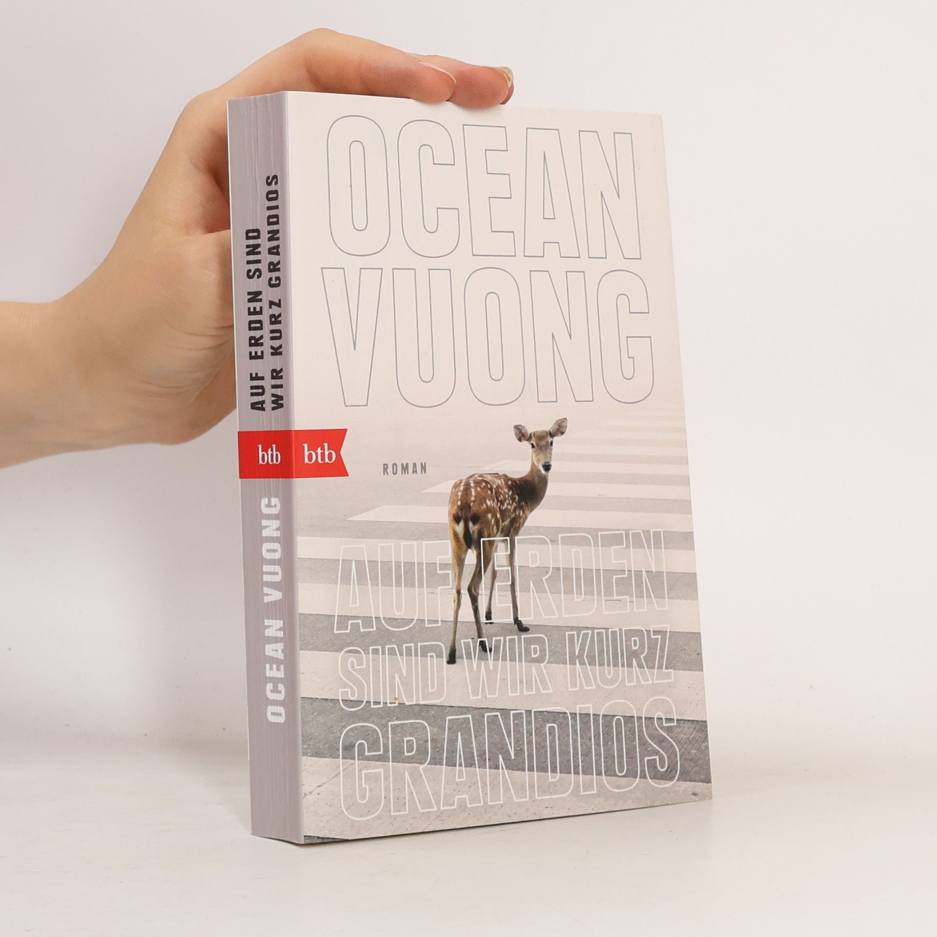 Ocean Vuong Auf Erden sind wir kurz grandios