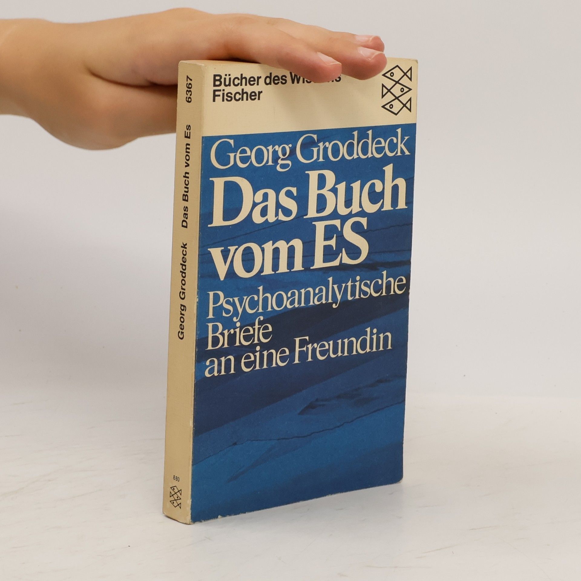 Georg Groddeck Das Buch vom Es
