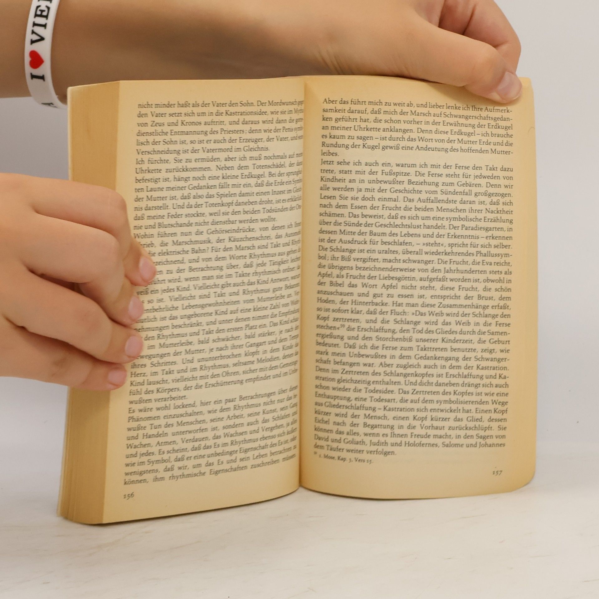 Georg Groddeck Das Buch vom Es