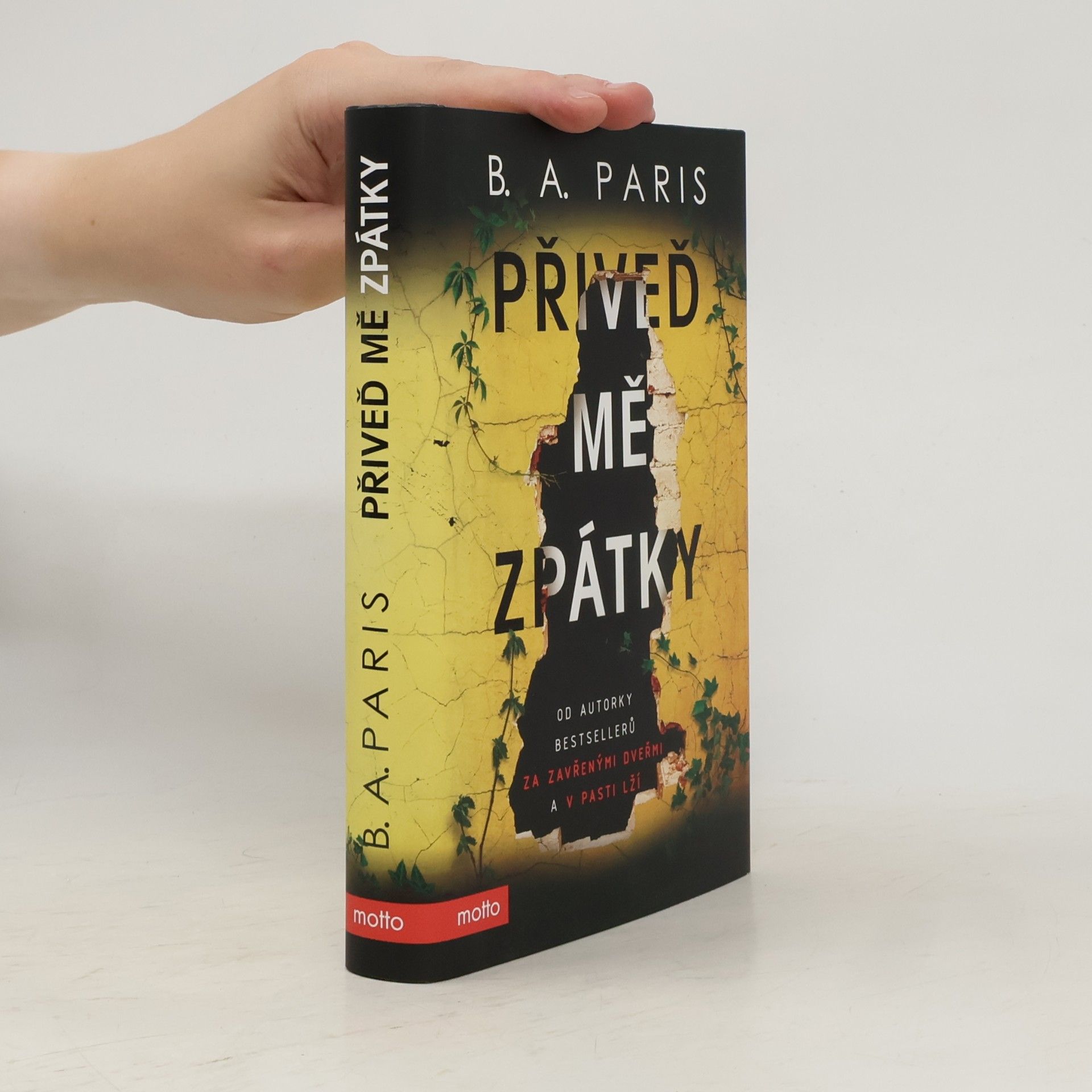 B.A. Paris Přiveď mě zpátky