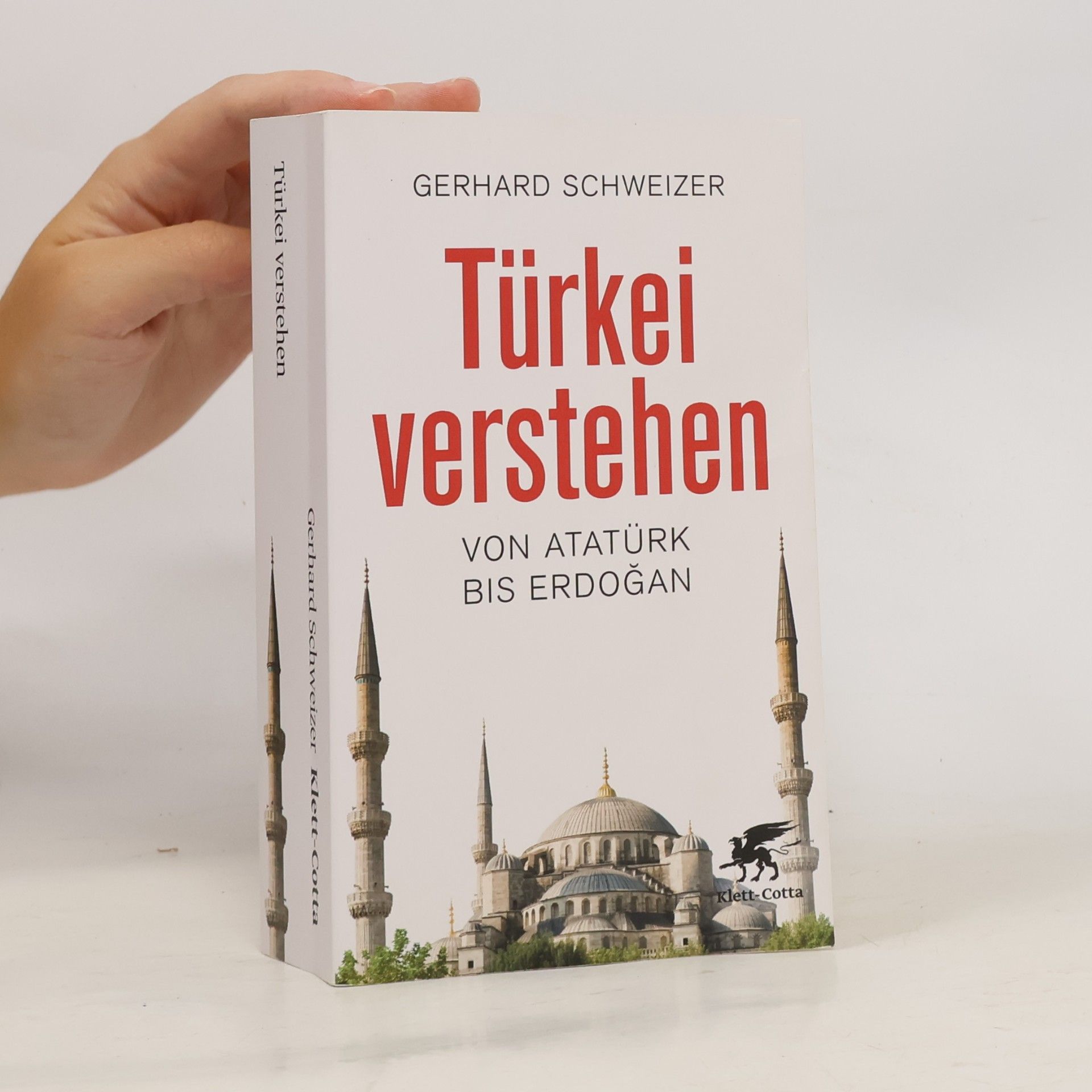 Gerhard Schweizer Türkei verstehen
