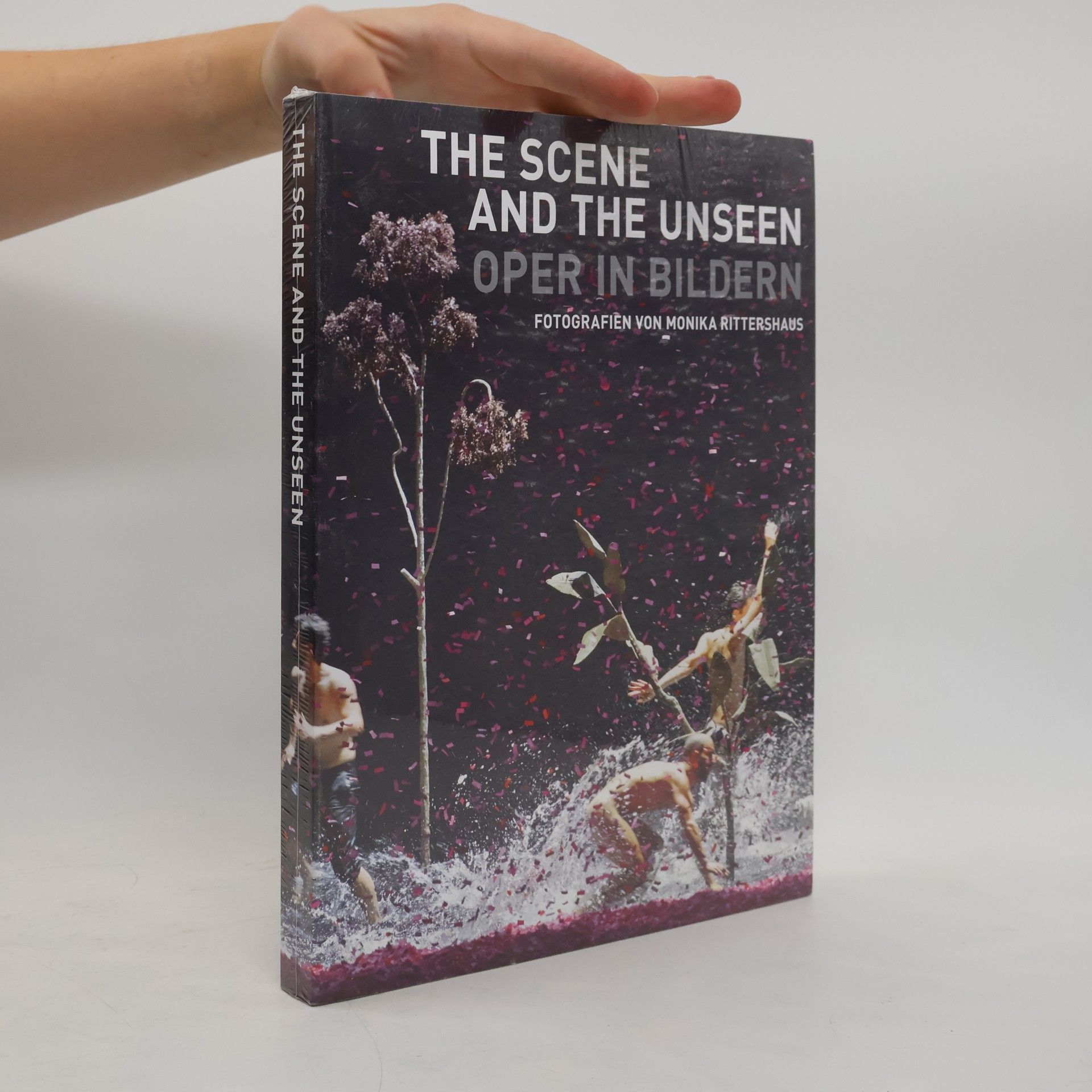 Dirk Allgaier The Scene and the Unseen