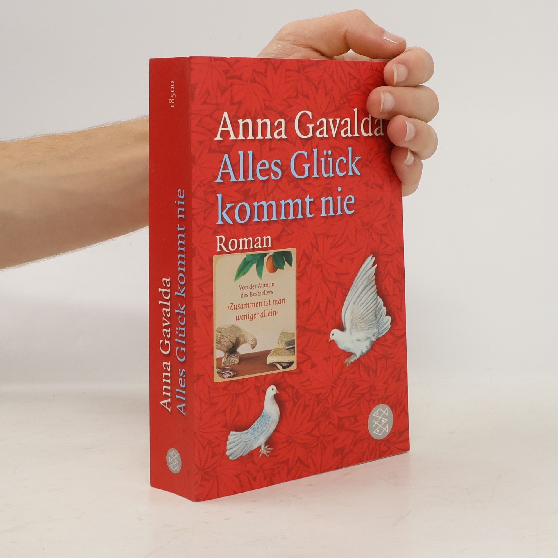 Anna Gavalda Alles Glück kommt nie