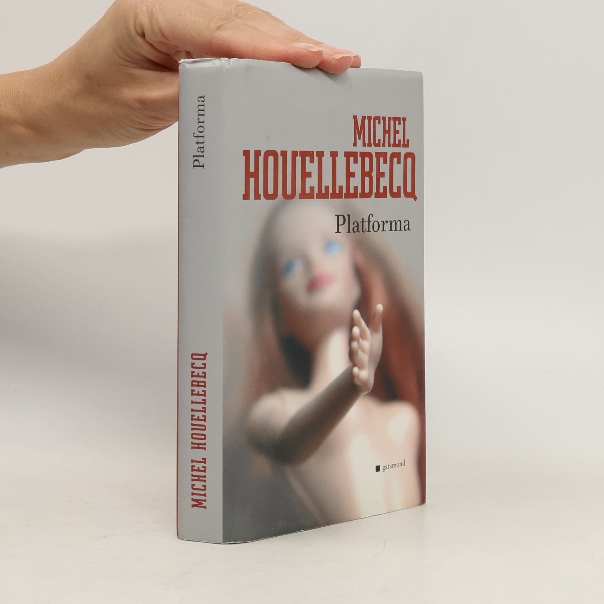 Michel Houellebecq Platforma: Uprostřed světa
