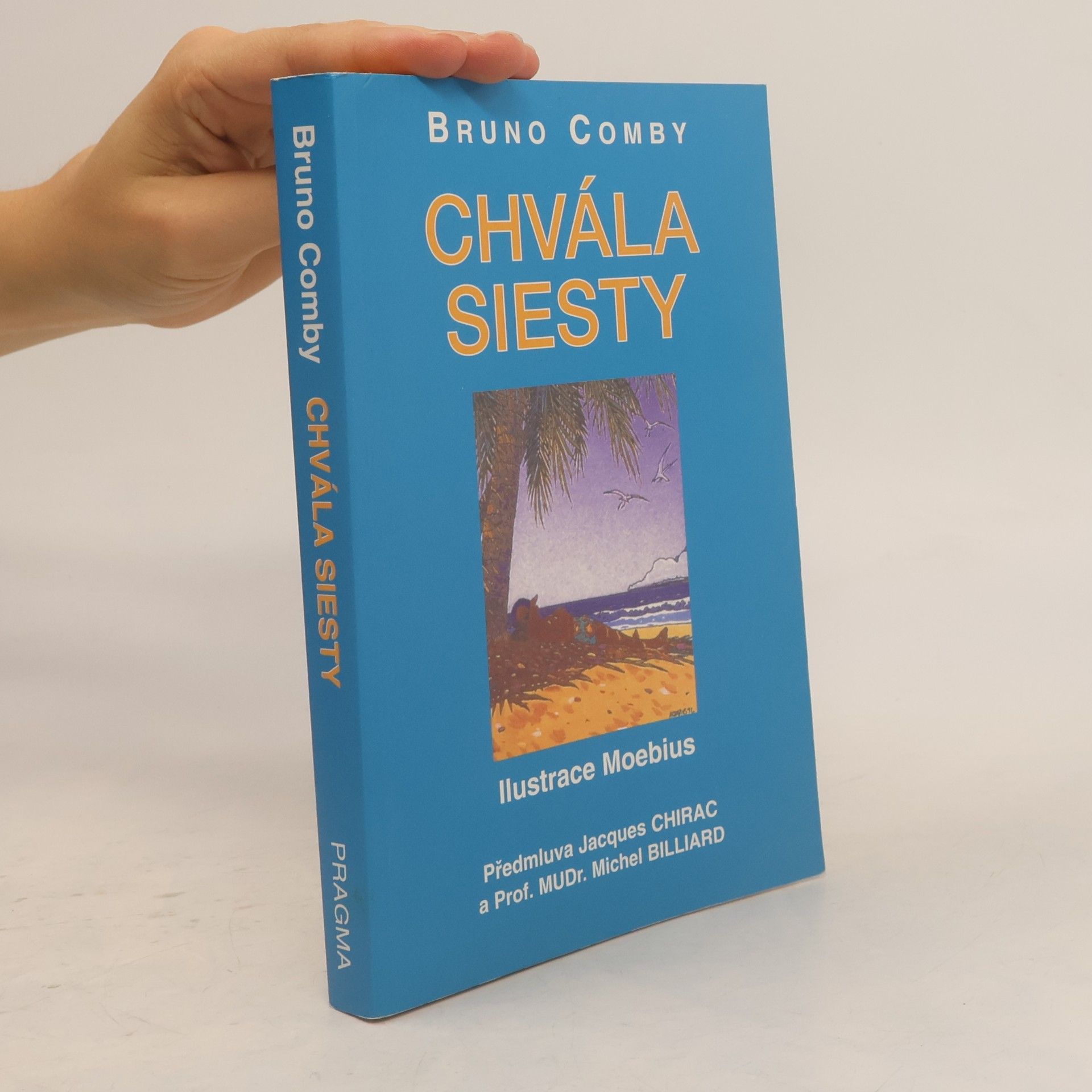 Bruno Comby Chvála siesty