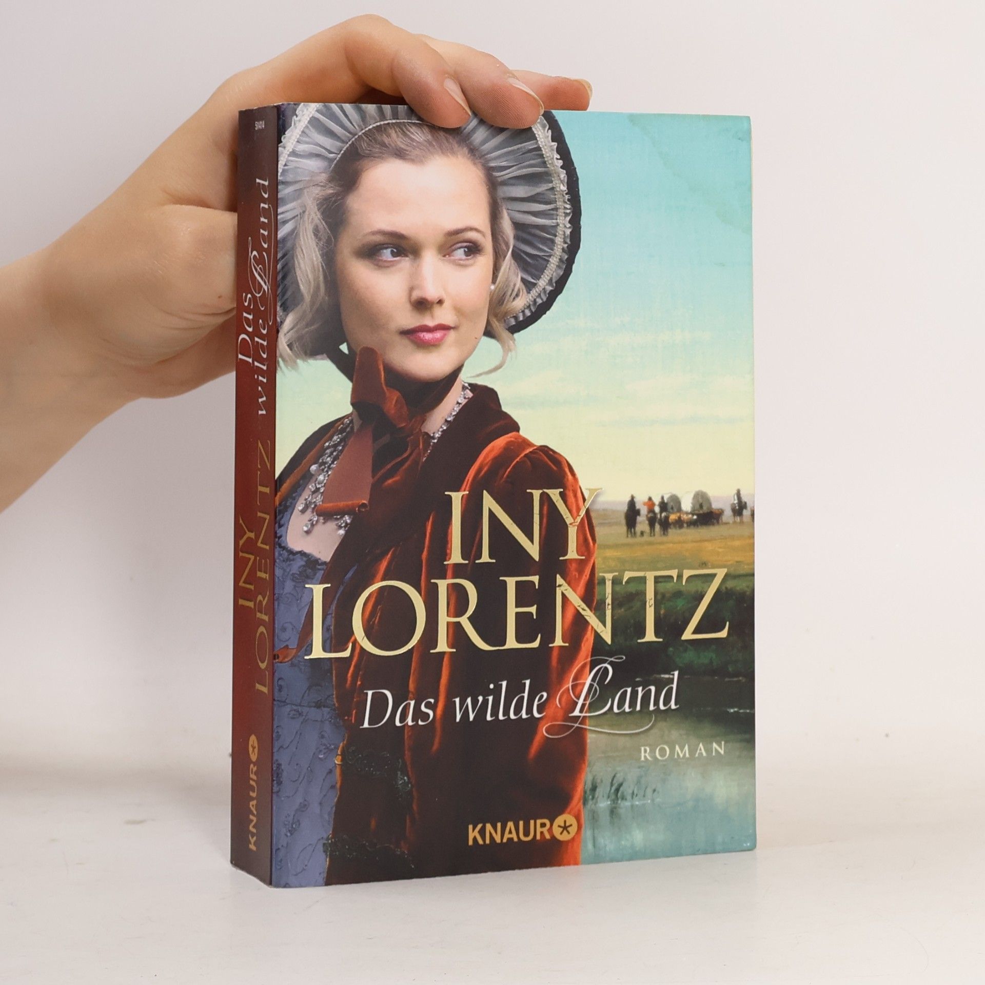 Iny Lorentz Das wilde Land