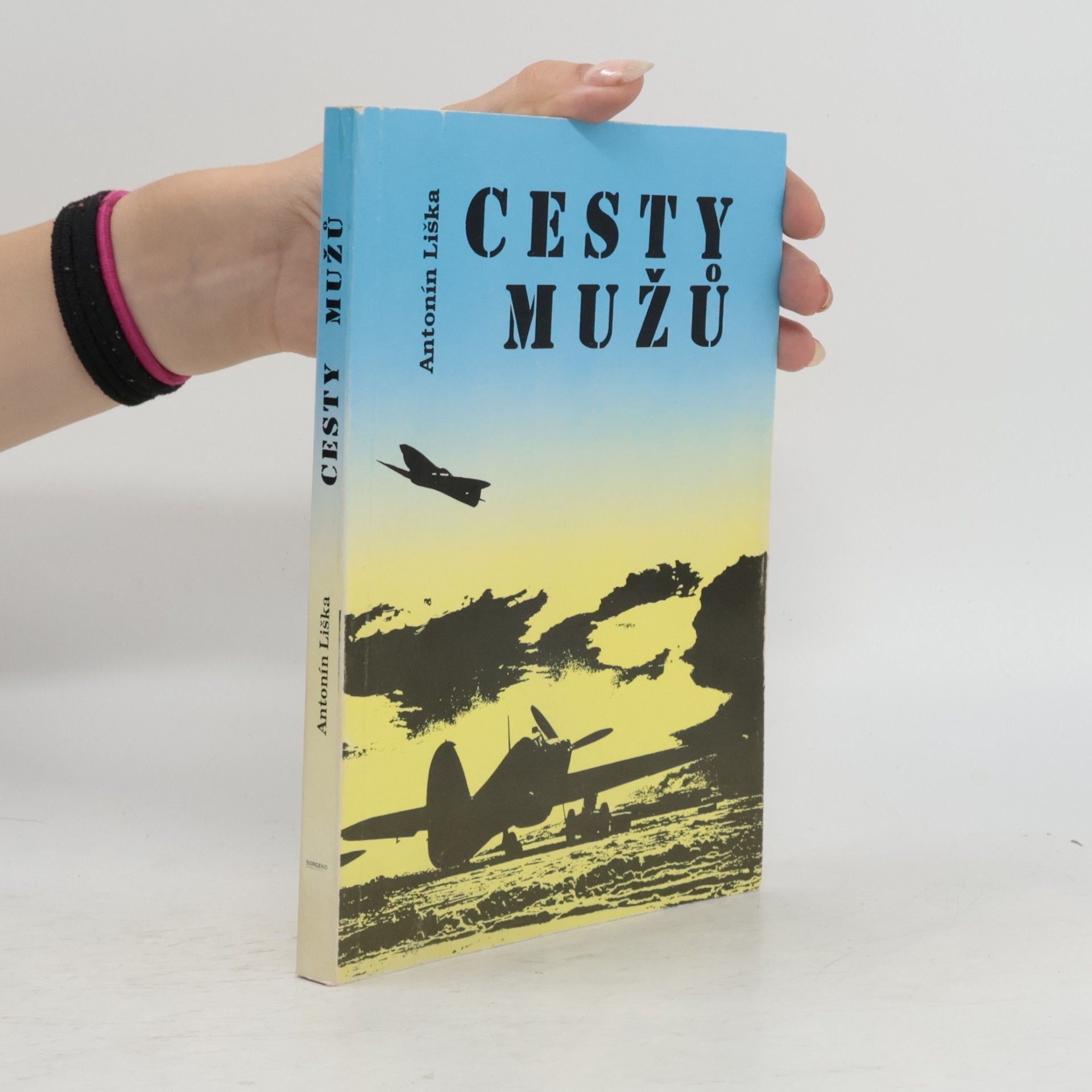 Antonín Liška Cesty mužů