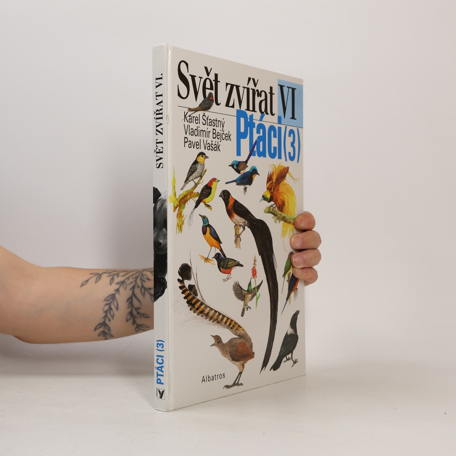 Pavel Vašák Svět zvířat : VI. Ptáci (3) Pěvci