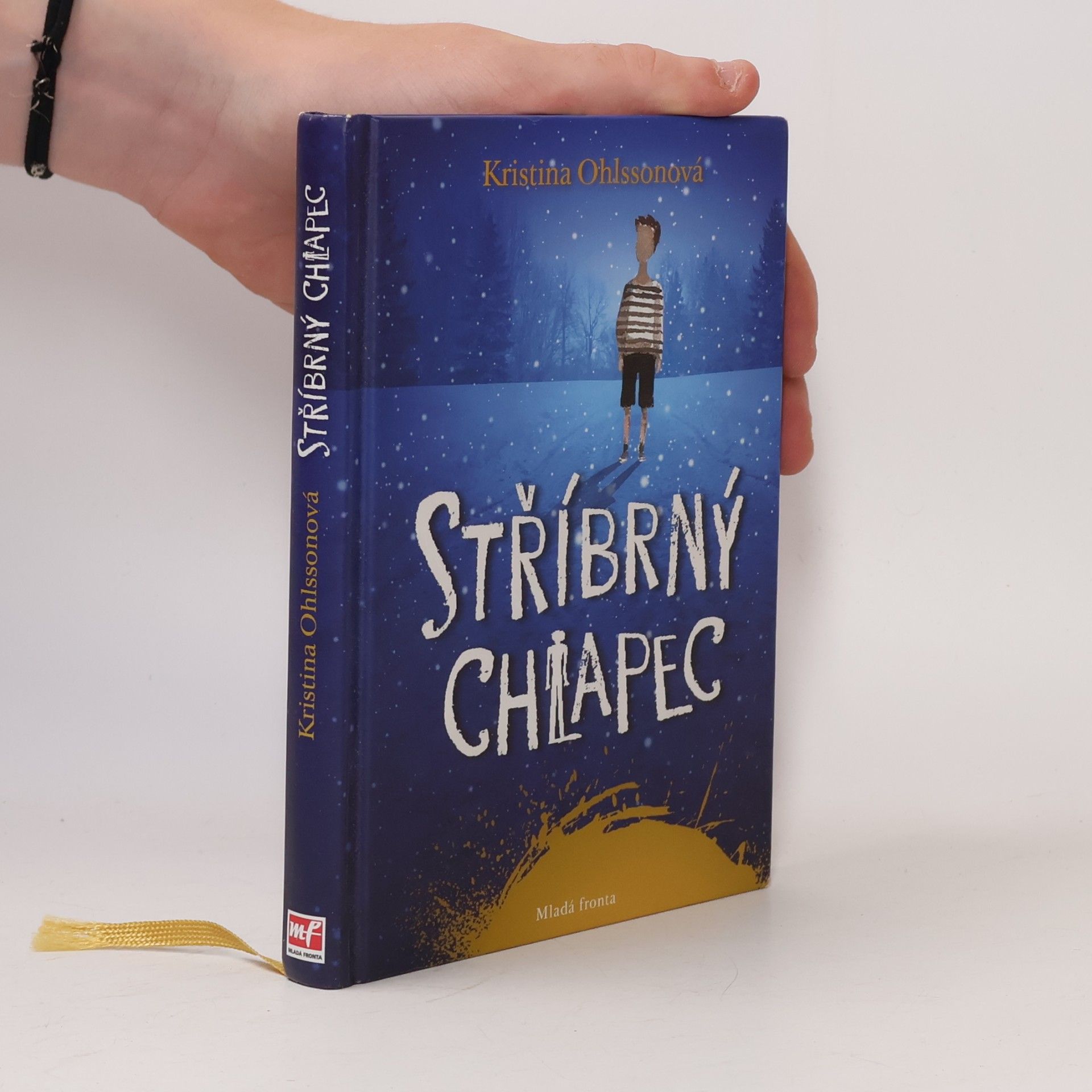 Kristina Ohlsson Stříbrný chlapec