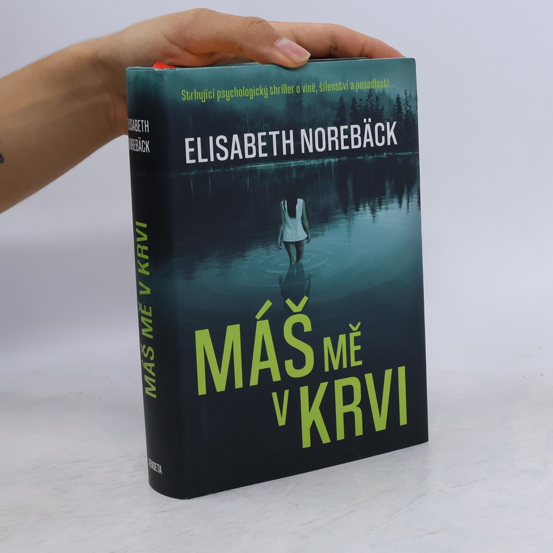 Elisabeth Norebäck Máš mě v krvi