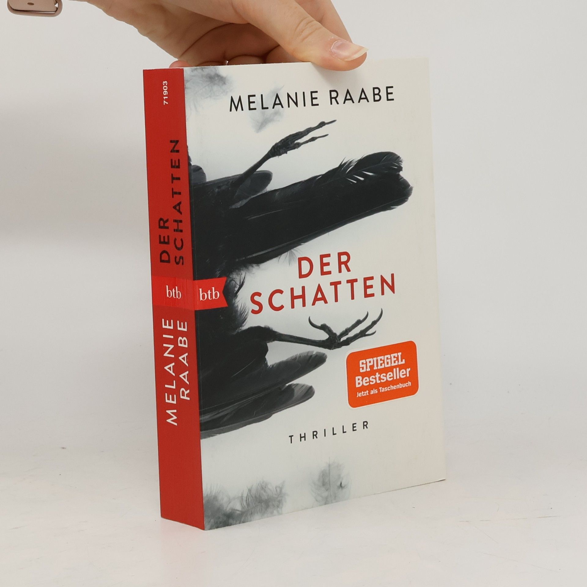 Melanie Raabe Der Schatten
