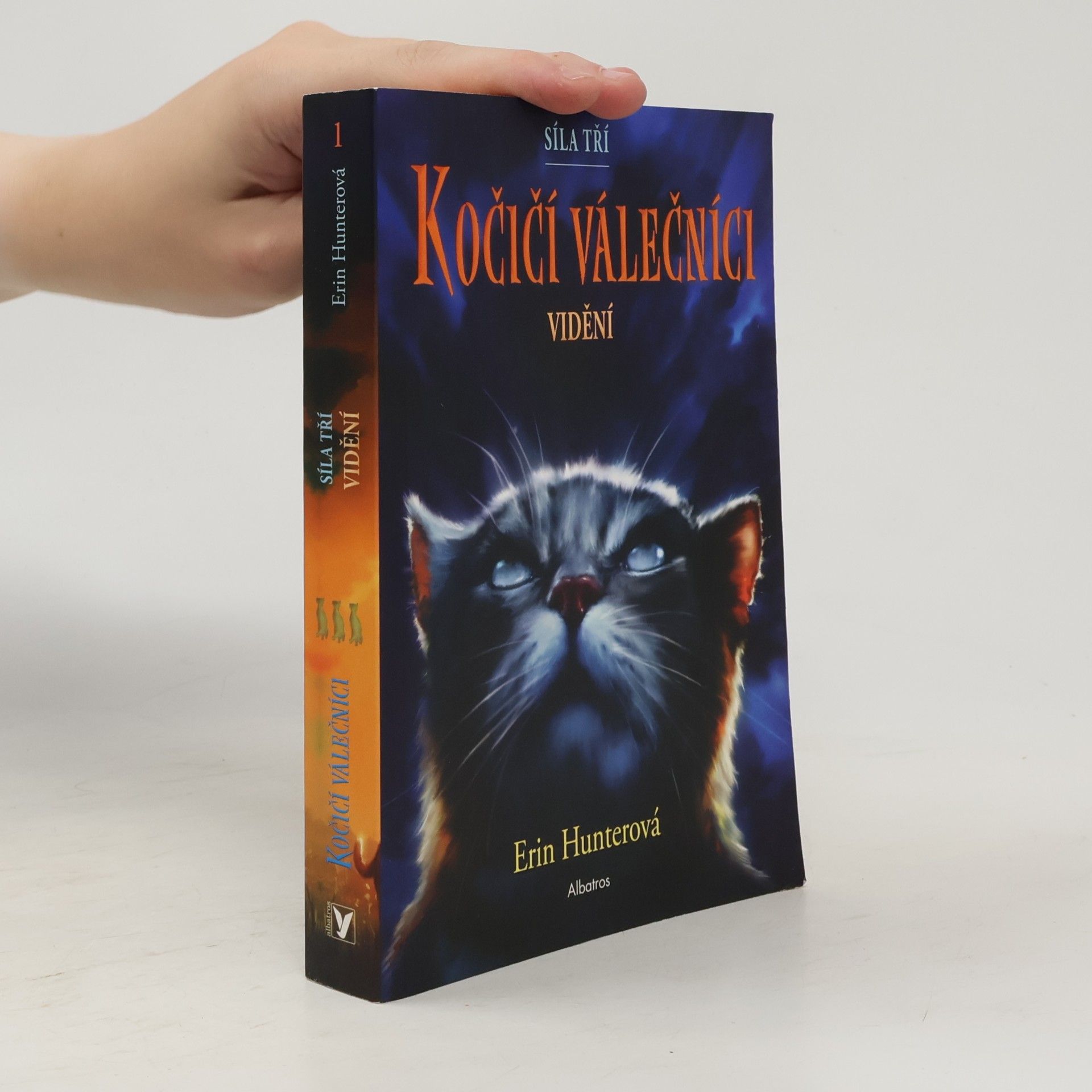 Erin Hunter Kočičí válečníci : síla tří. Vidění