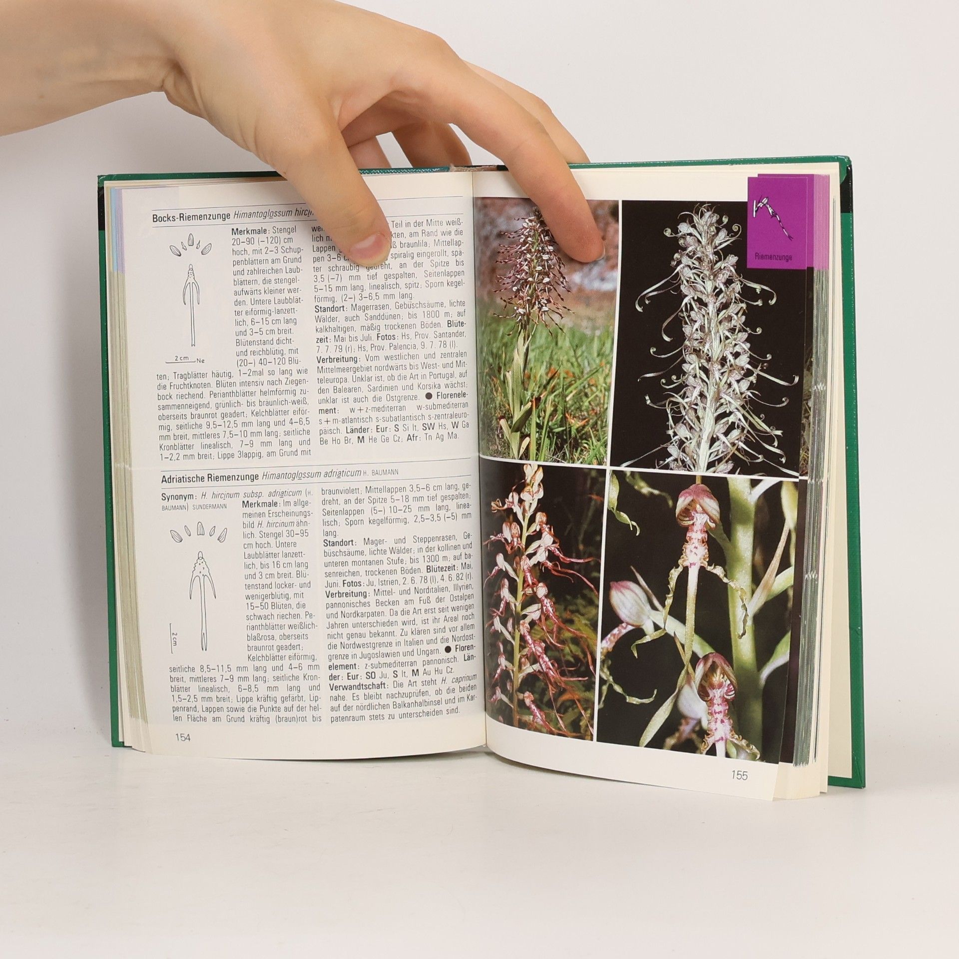 Karl Peter Buttler Orchideen