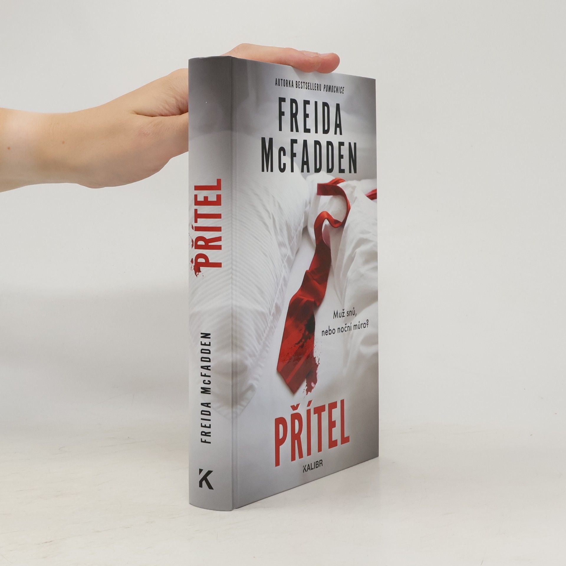 Freida McFadden Přítel