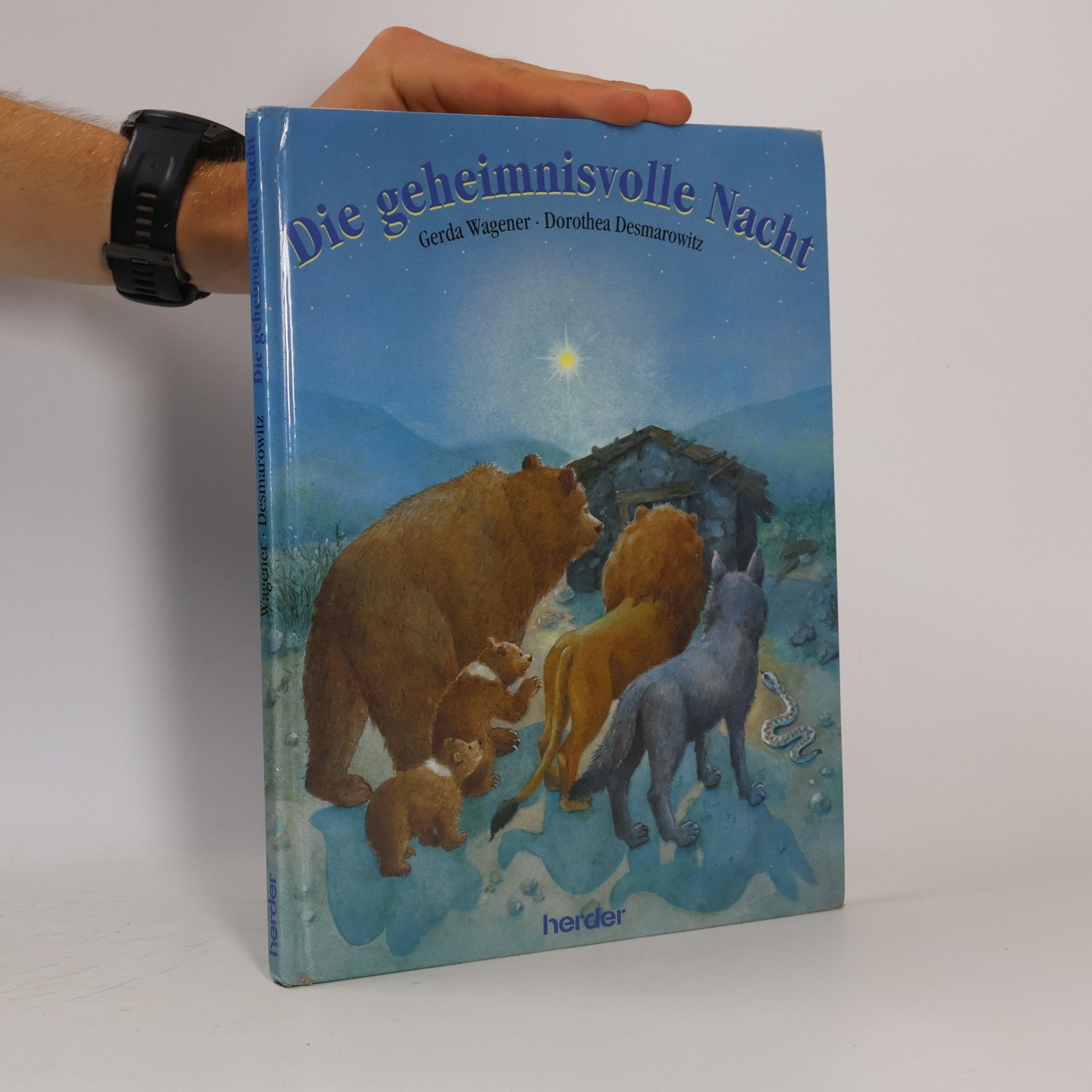 Die geheimnisvolle Nacht
