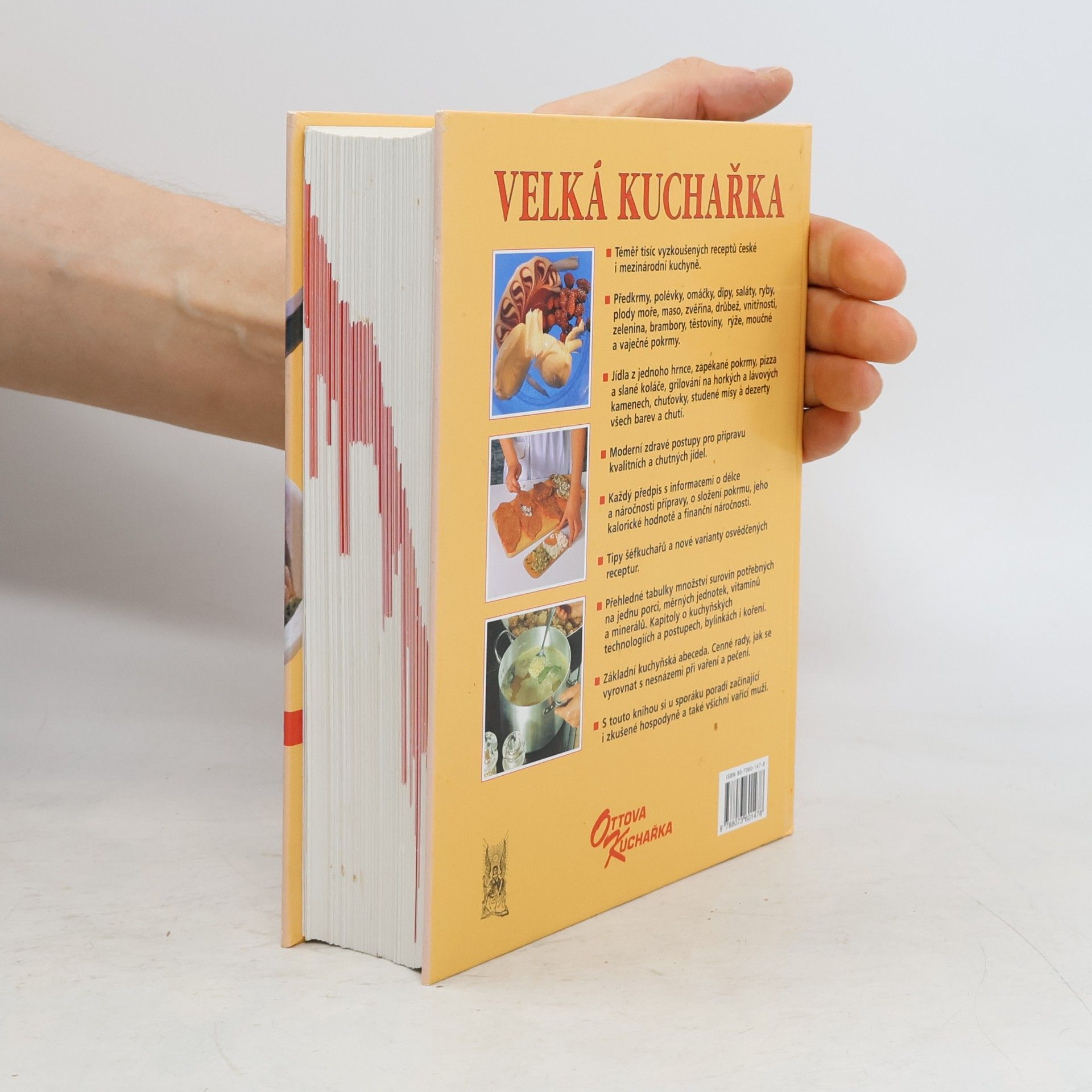 Kolektiv autorů Velká kuchařka