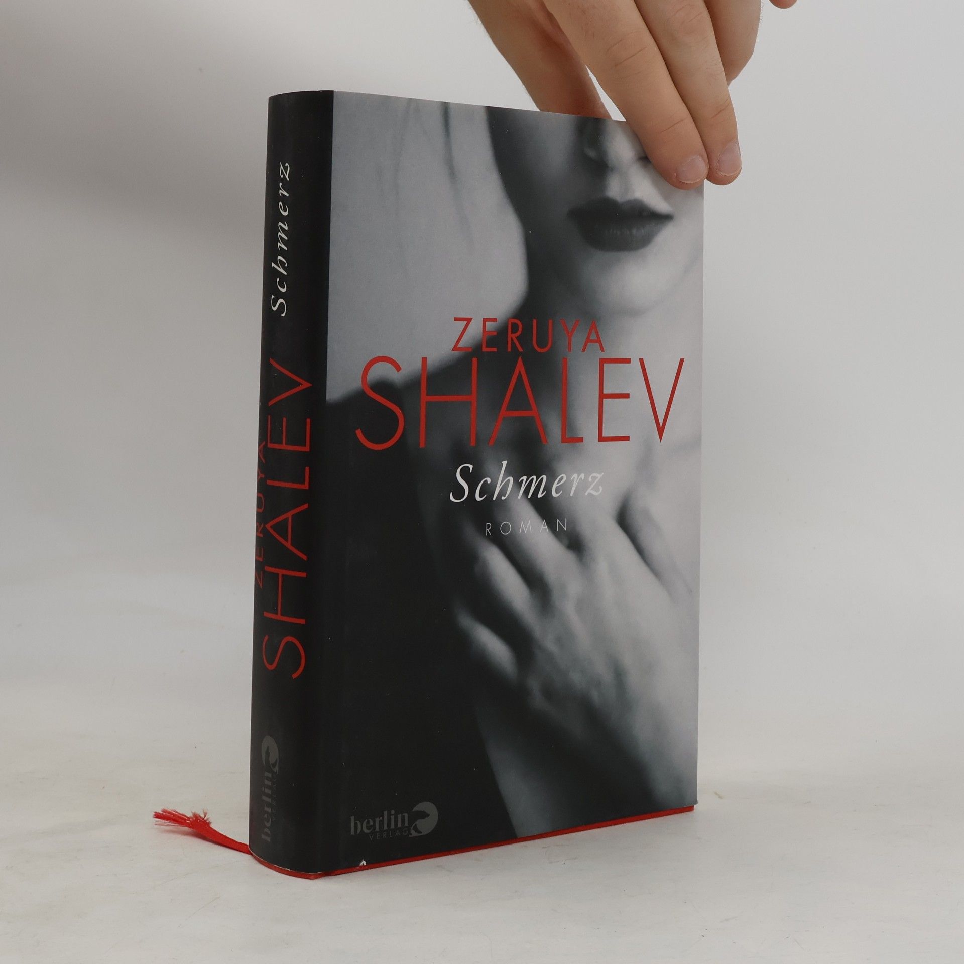 Zeruya Shalev Schmerz