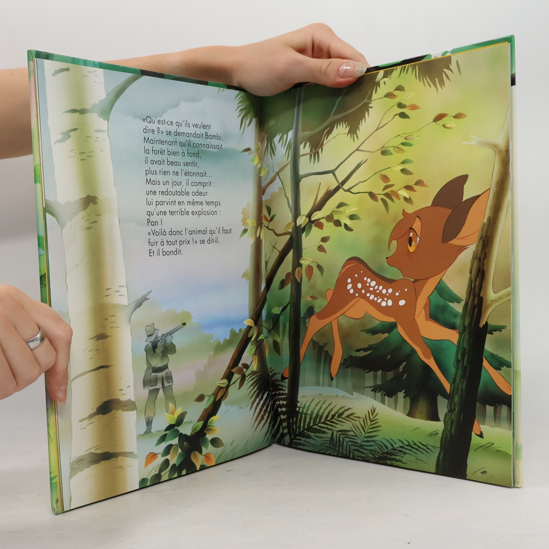 Van Gool Bambi