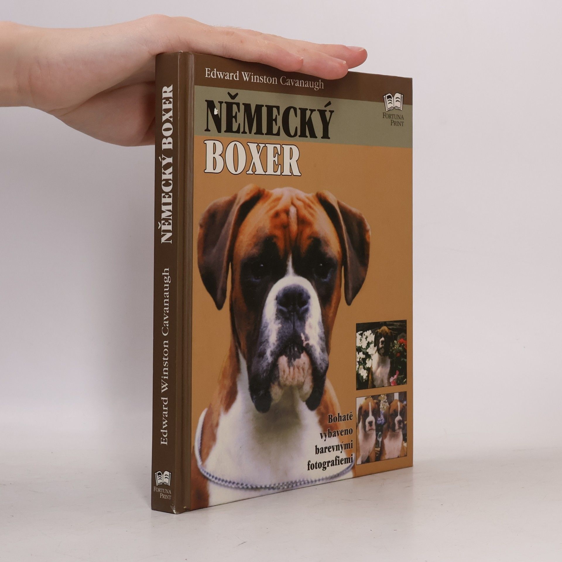 Německý boxer