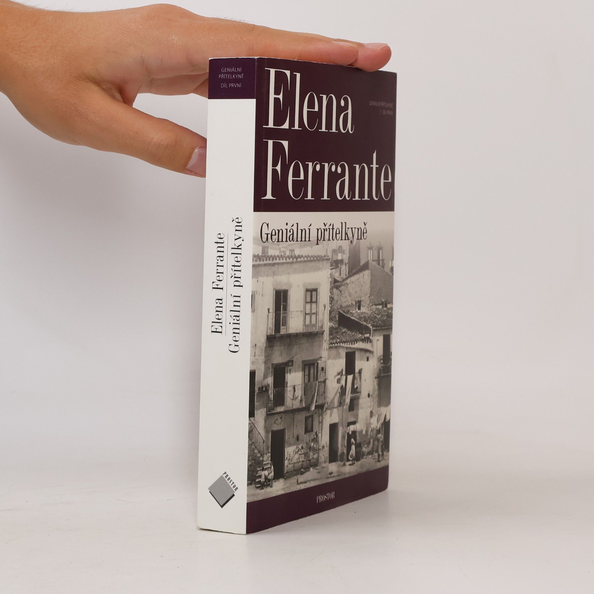 Elena Ferrante Geniální přítelkyně 1. Dětství a dospívání
