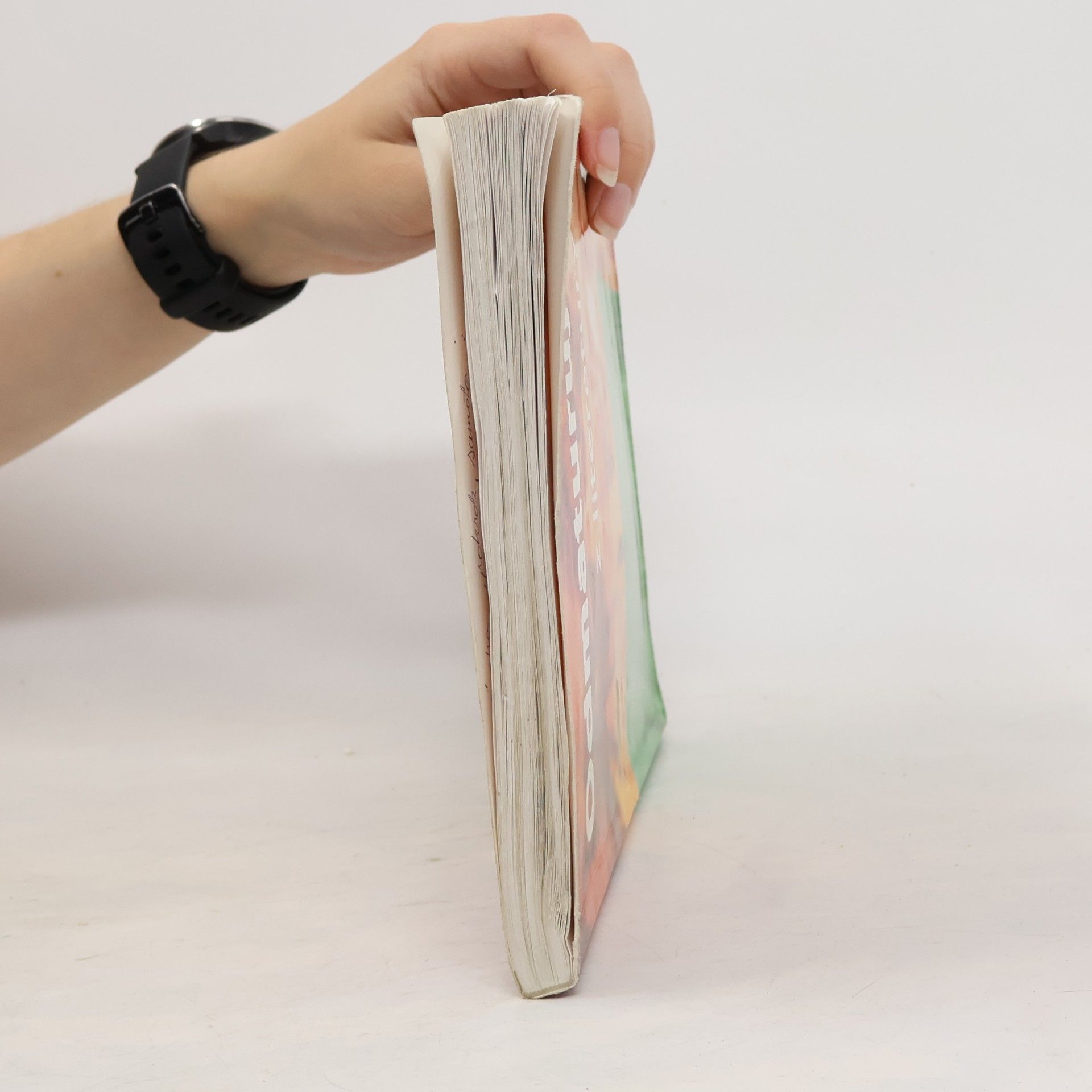 Eva Hánová Odmaturuj! z literatury