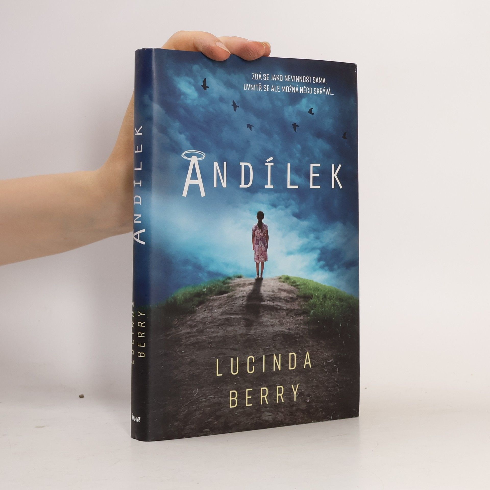 Lucinda Berry Andílek