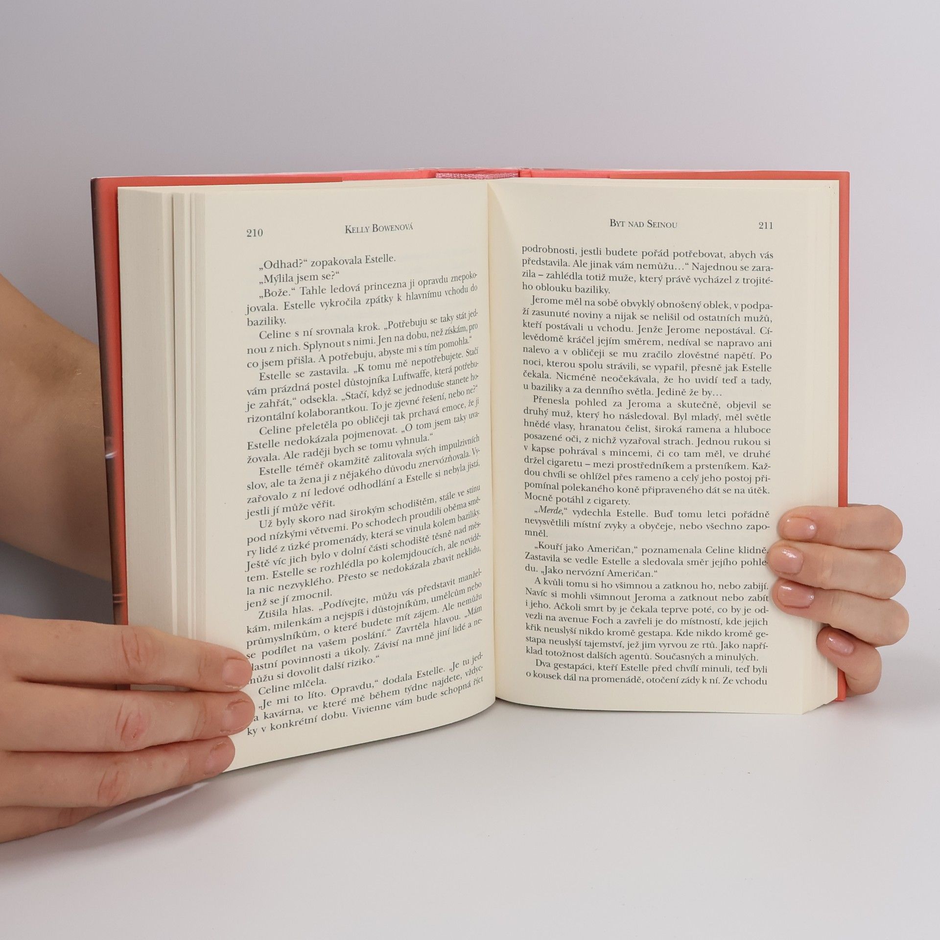 Kelly Bowen Byt nad Seinou