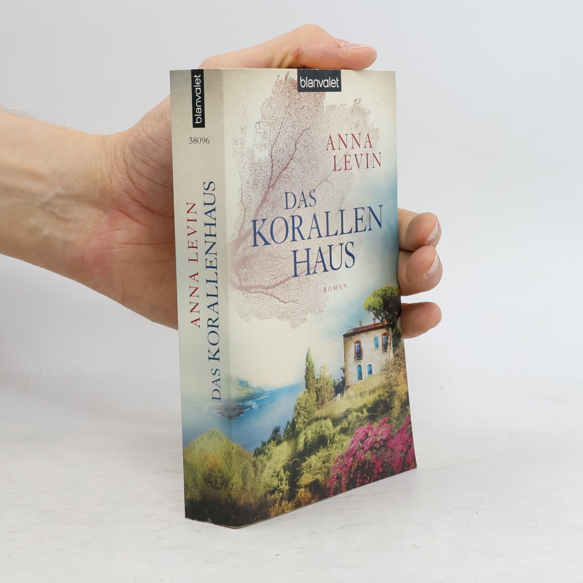 Anna Levin Das Korallenhaus