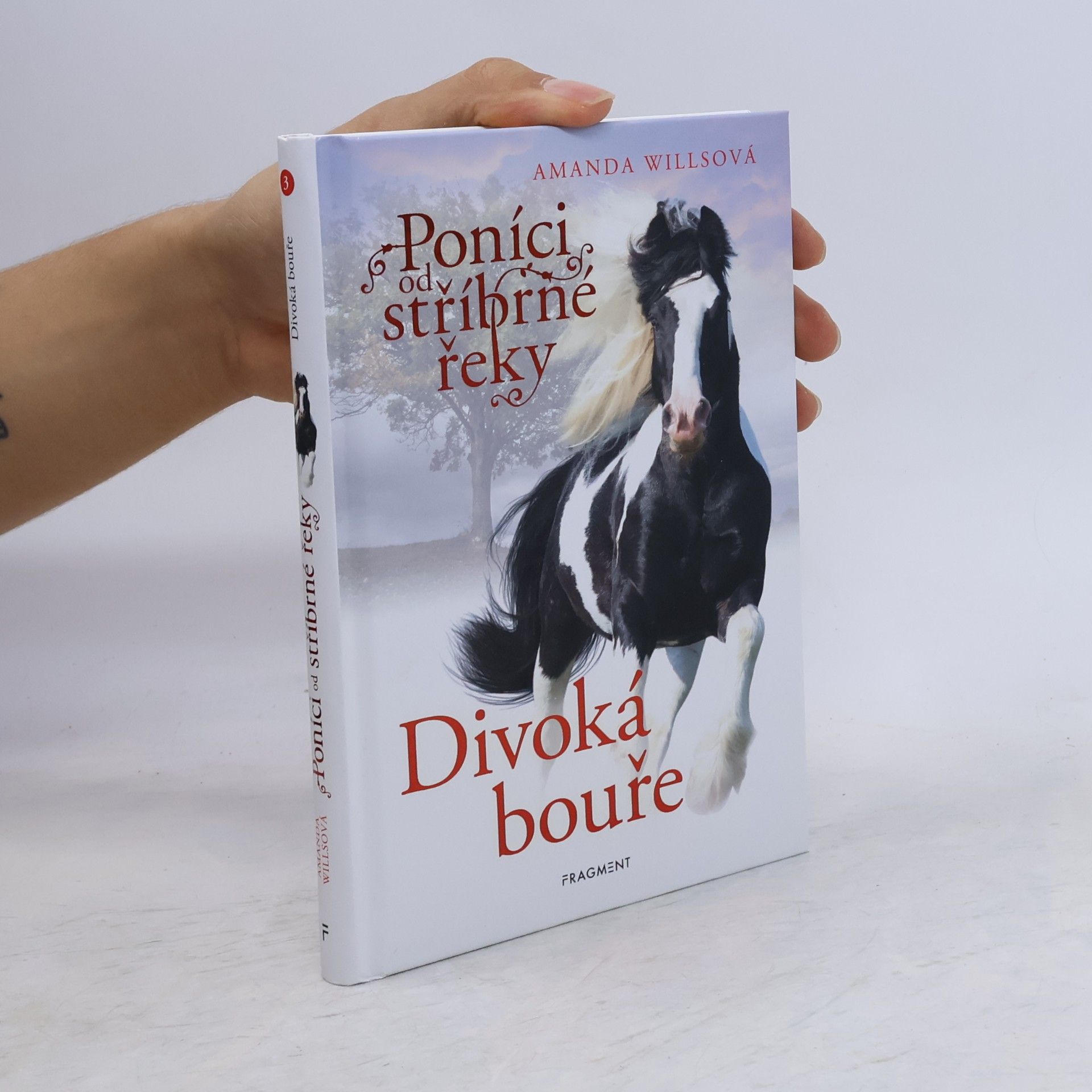 Amanda Wills Divoká bouře