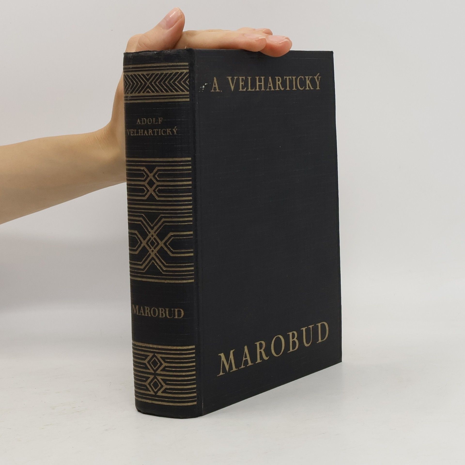 Marobud. Román z doby Markomanů v Čechách