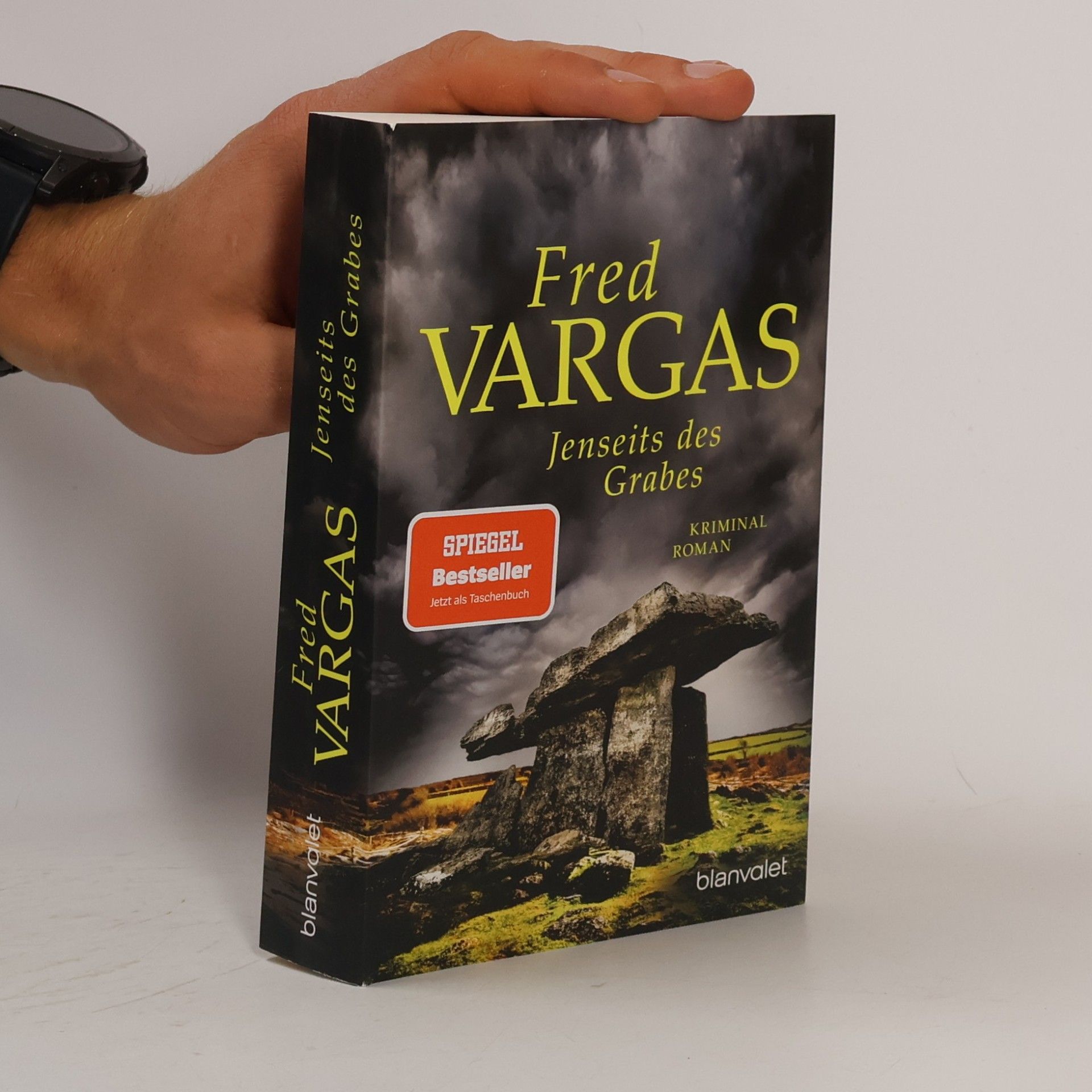 Fred Vargas Jenseits des Grabes