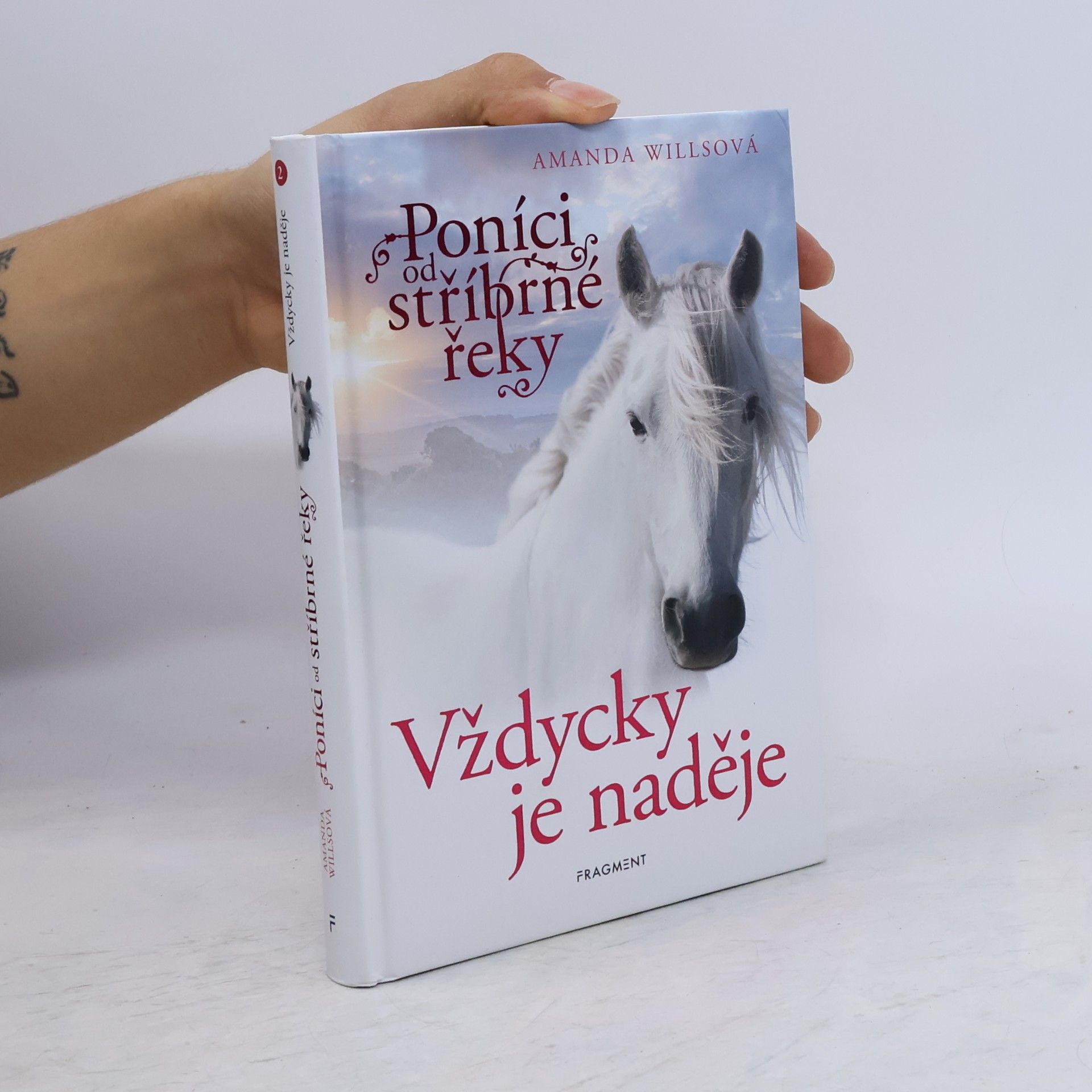 Amanda Wills Vždycky je naděje
