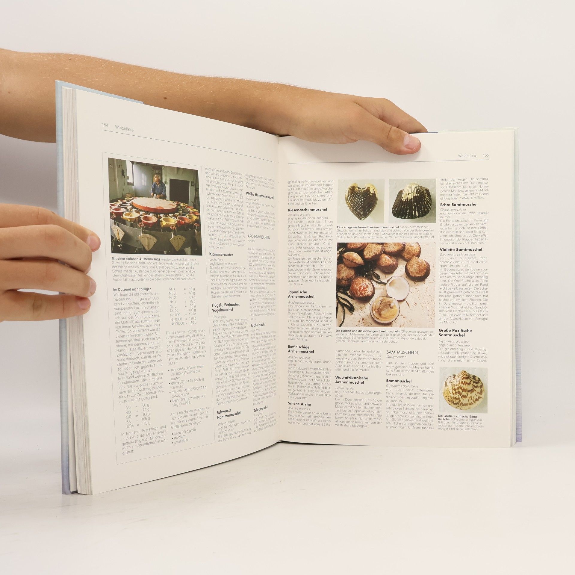Ralph Bürgin Seafood