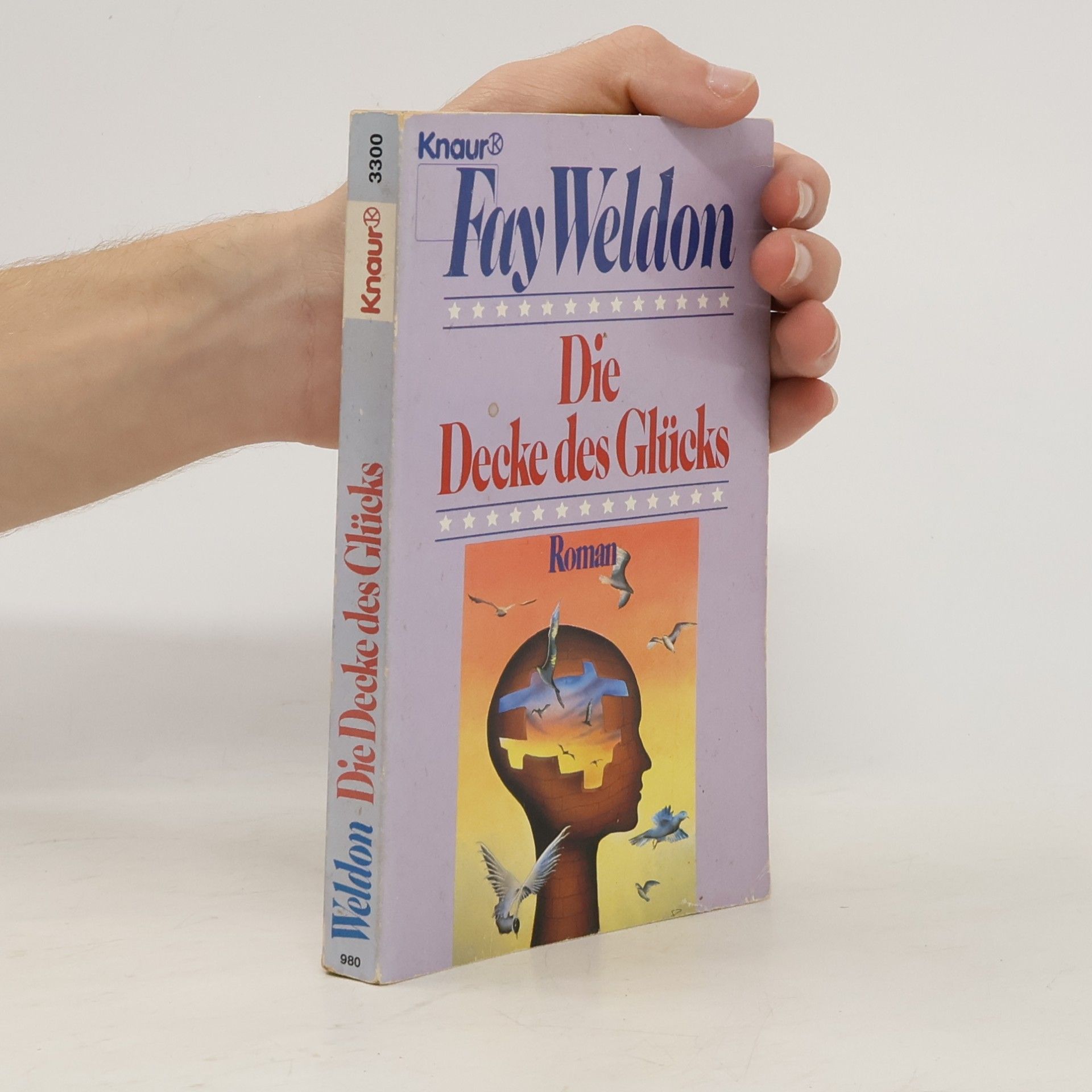Fay Weldon Die Decke des Glücks