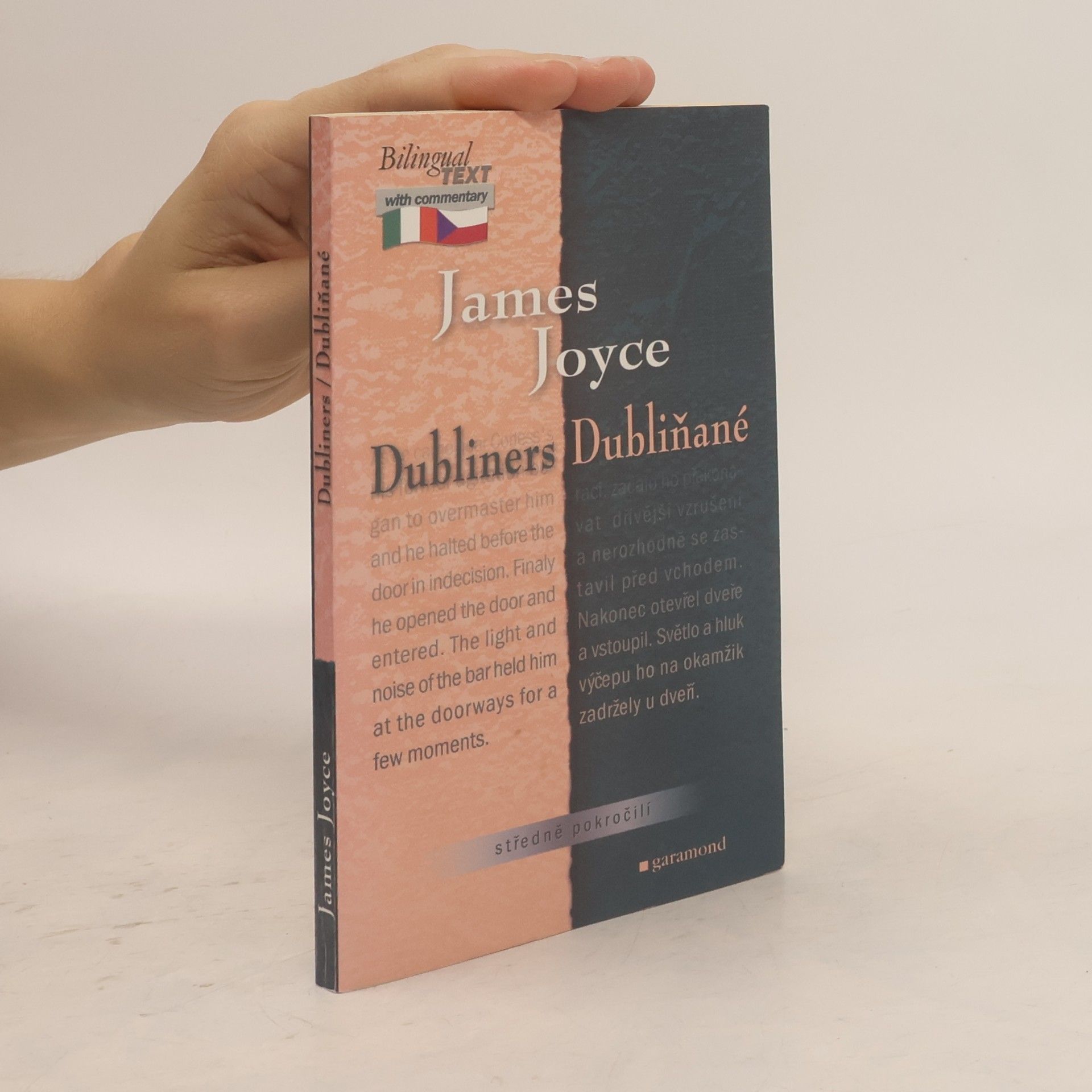 James Joyce Dubliners. Dubliňané