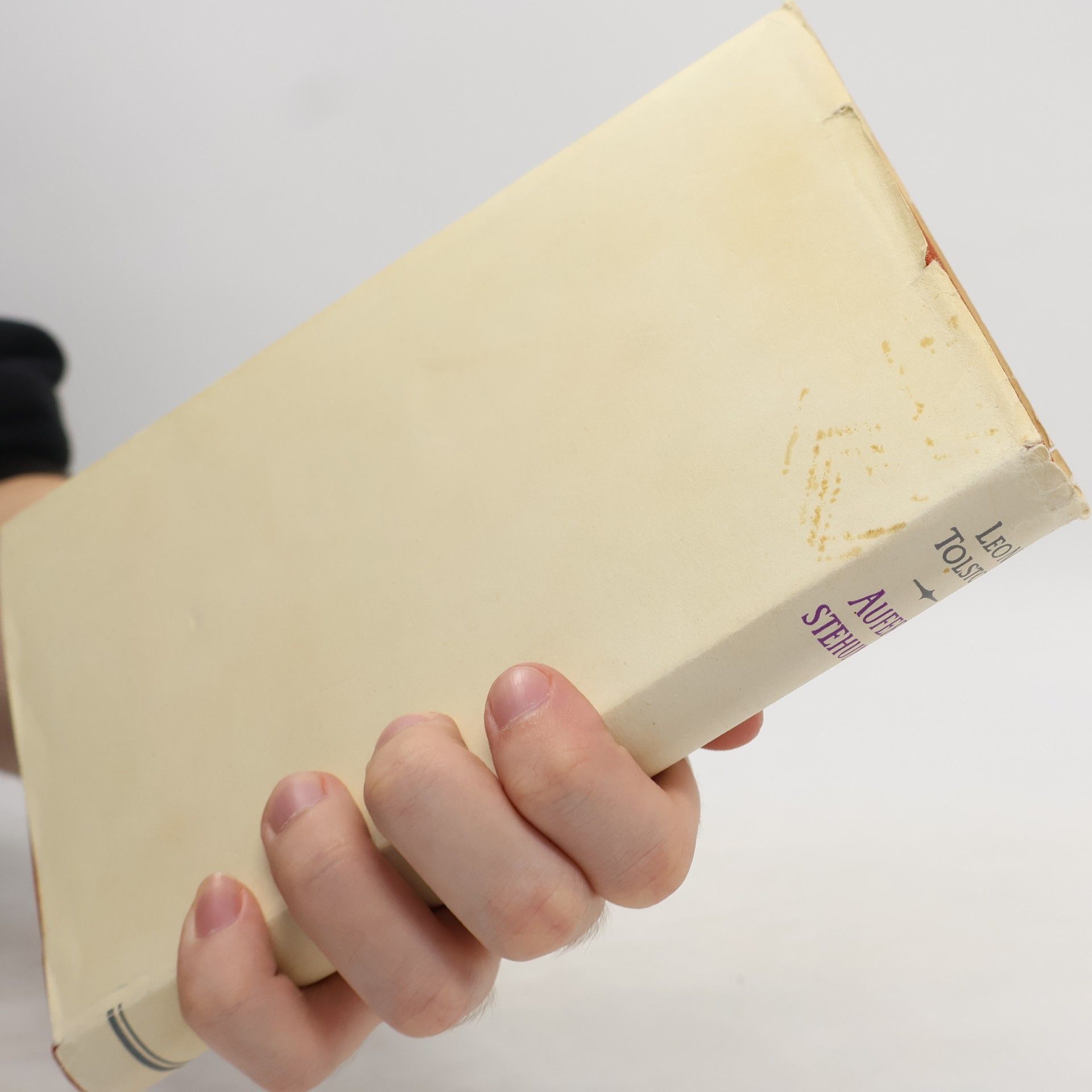 Lew Nikolajewitsch Tolstoi Auferstehung