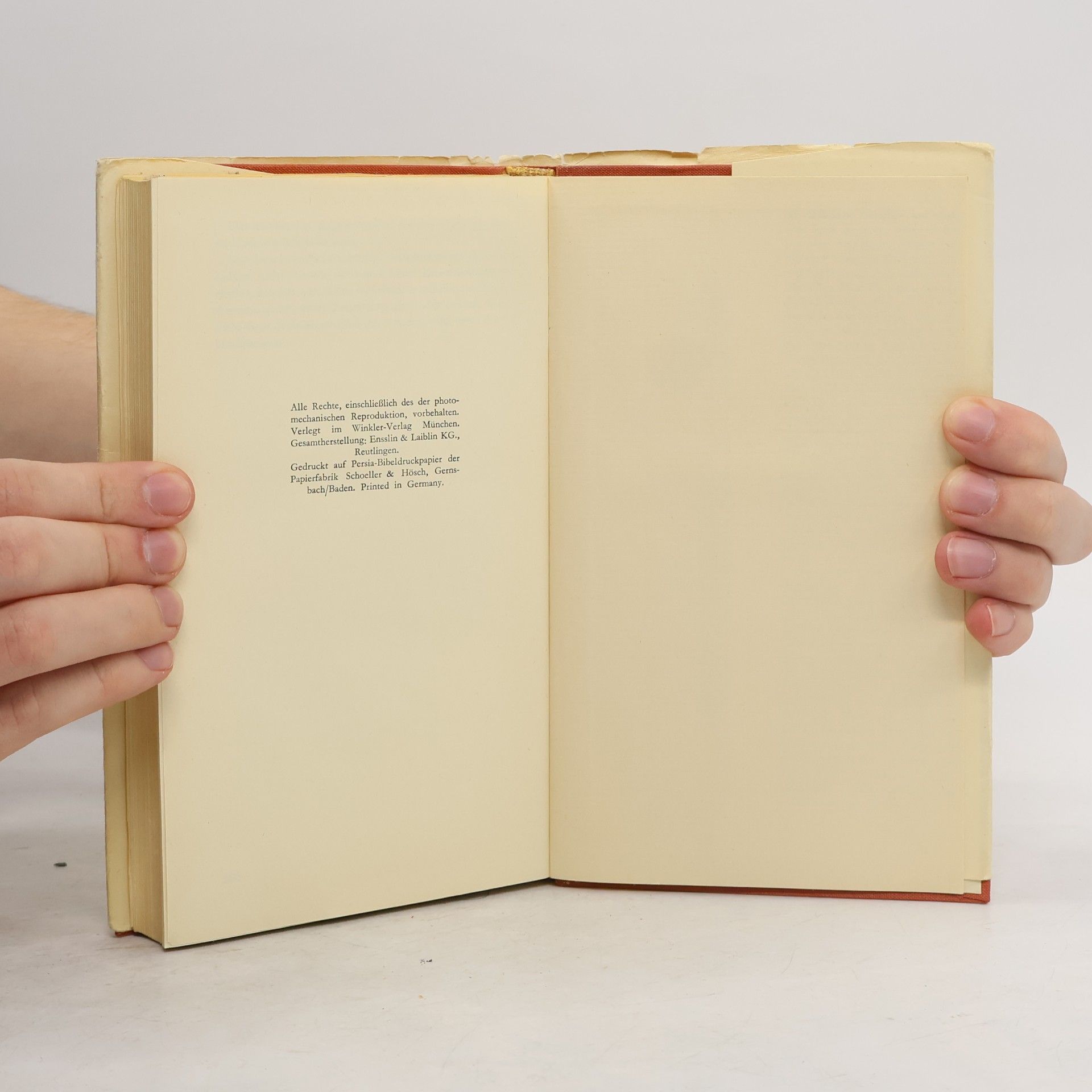 Lew Nikolajewitsch Tolstoi Auferstehung