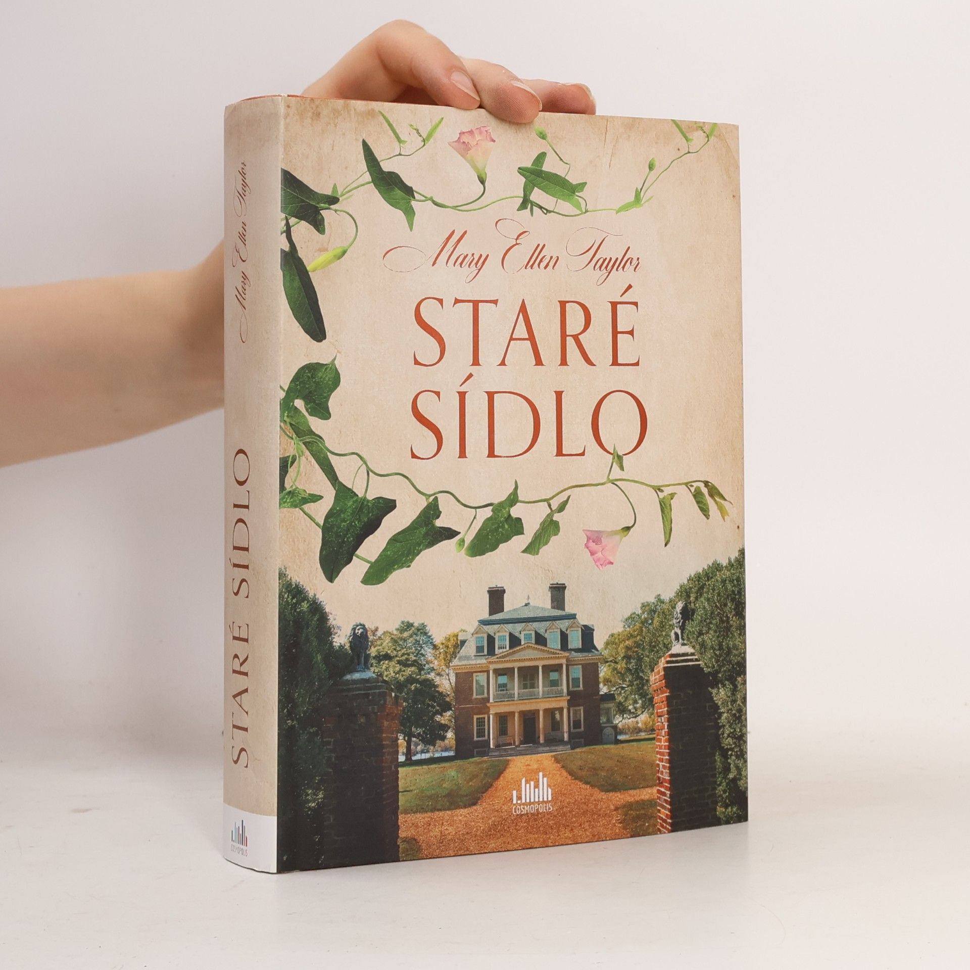 Mary Ellen Taylor Staré sídlo