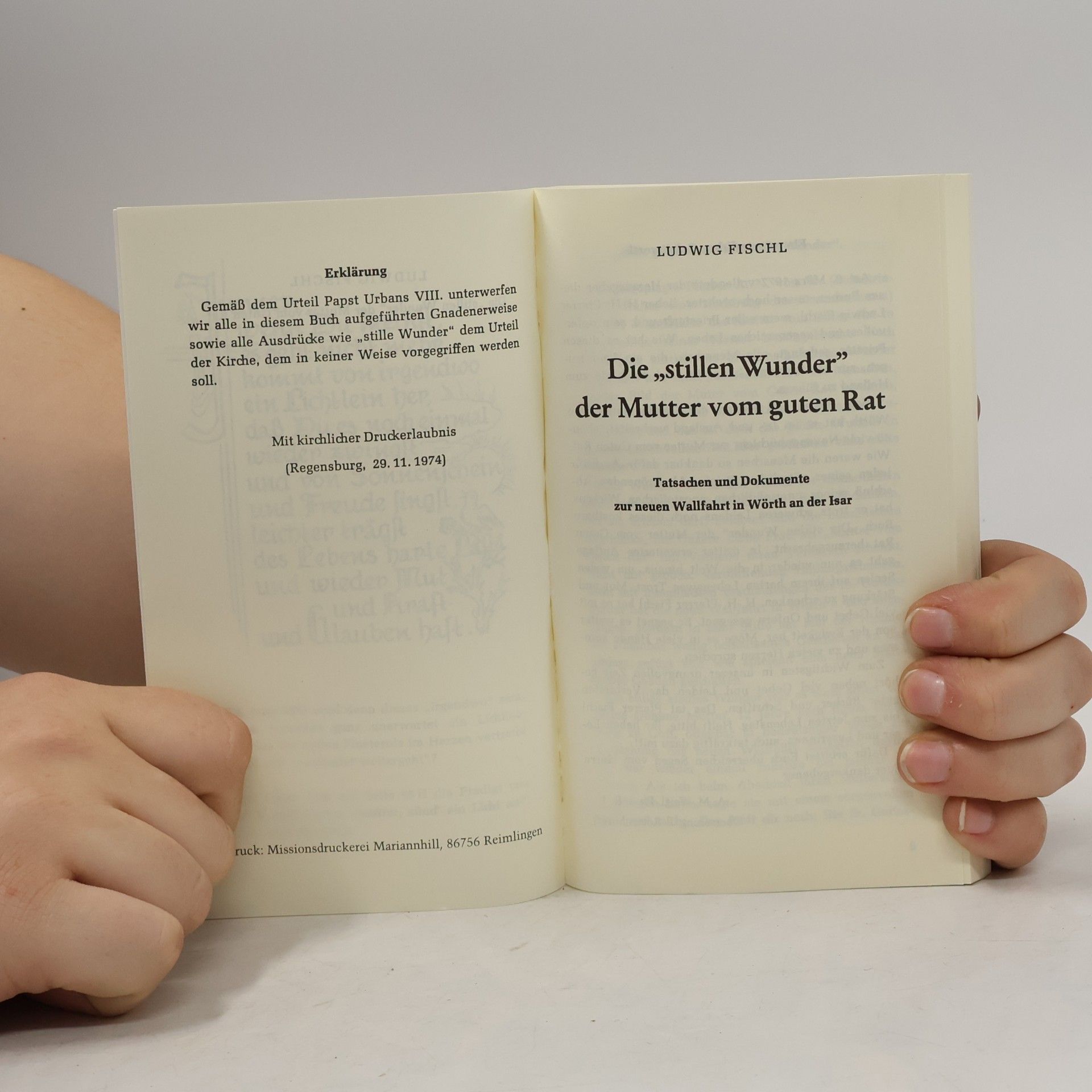 Autorenkollektiv Die stillen Wunder der Mutter vom guten Rat