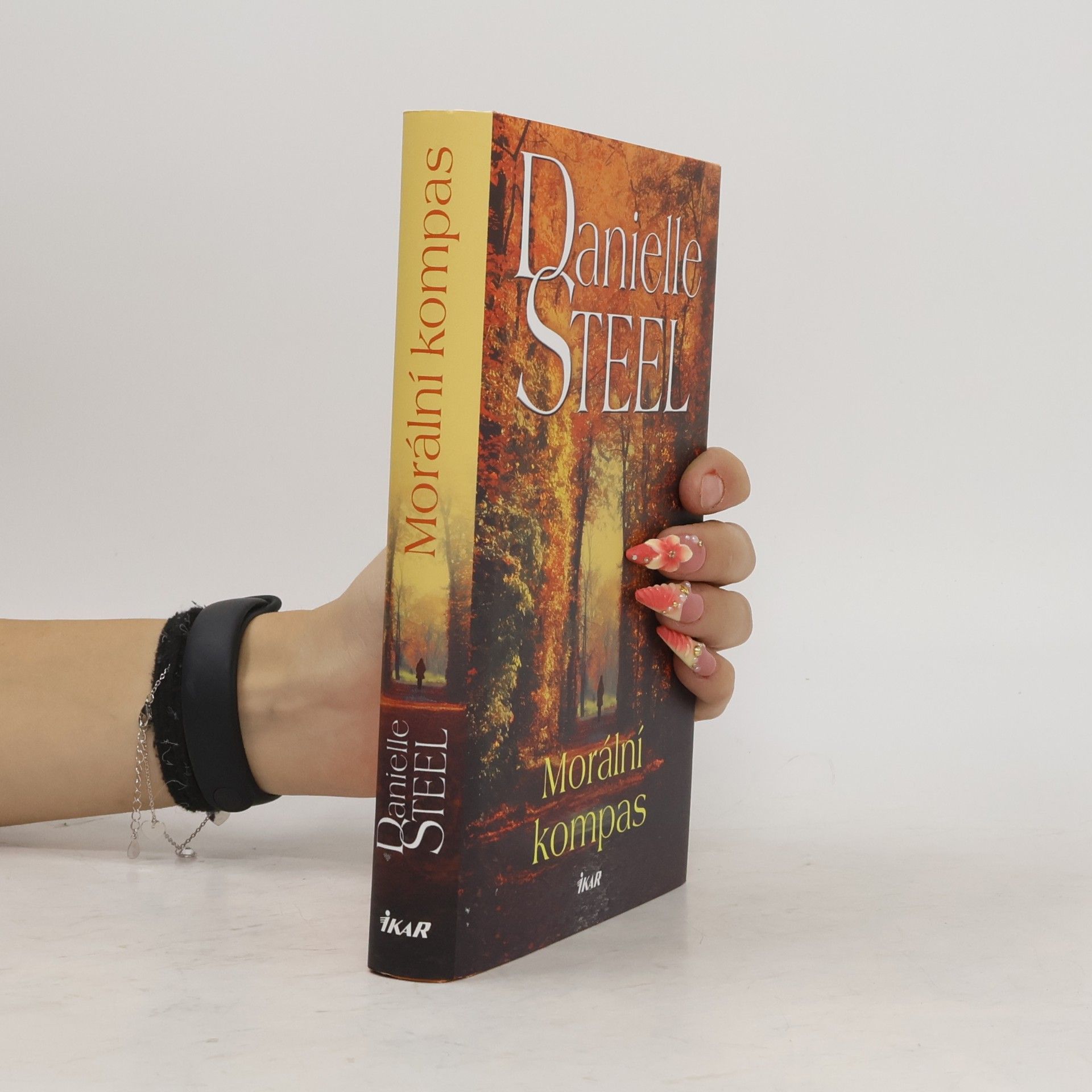 Danielle Steel Morální kompas