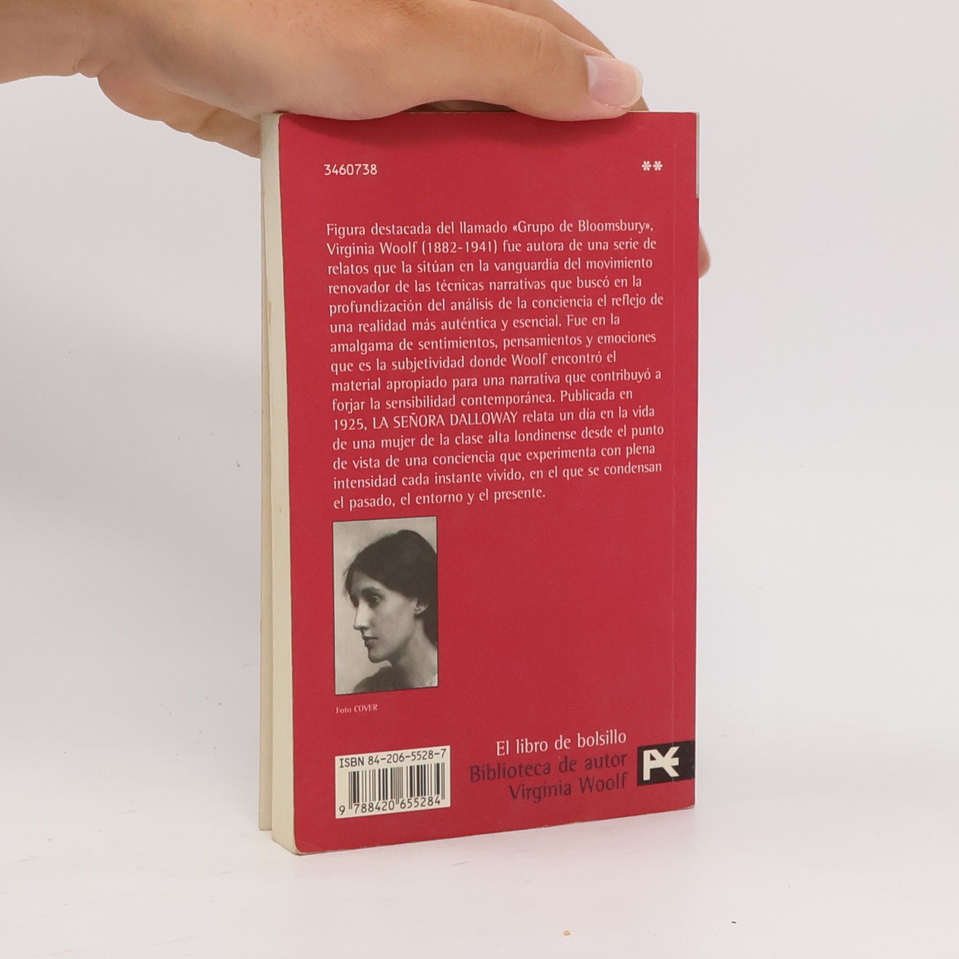 Virginia Woolf Biblioteca Woolf - 738: La señora Dalloway
