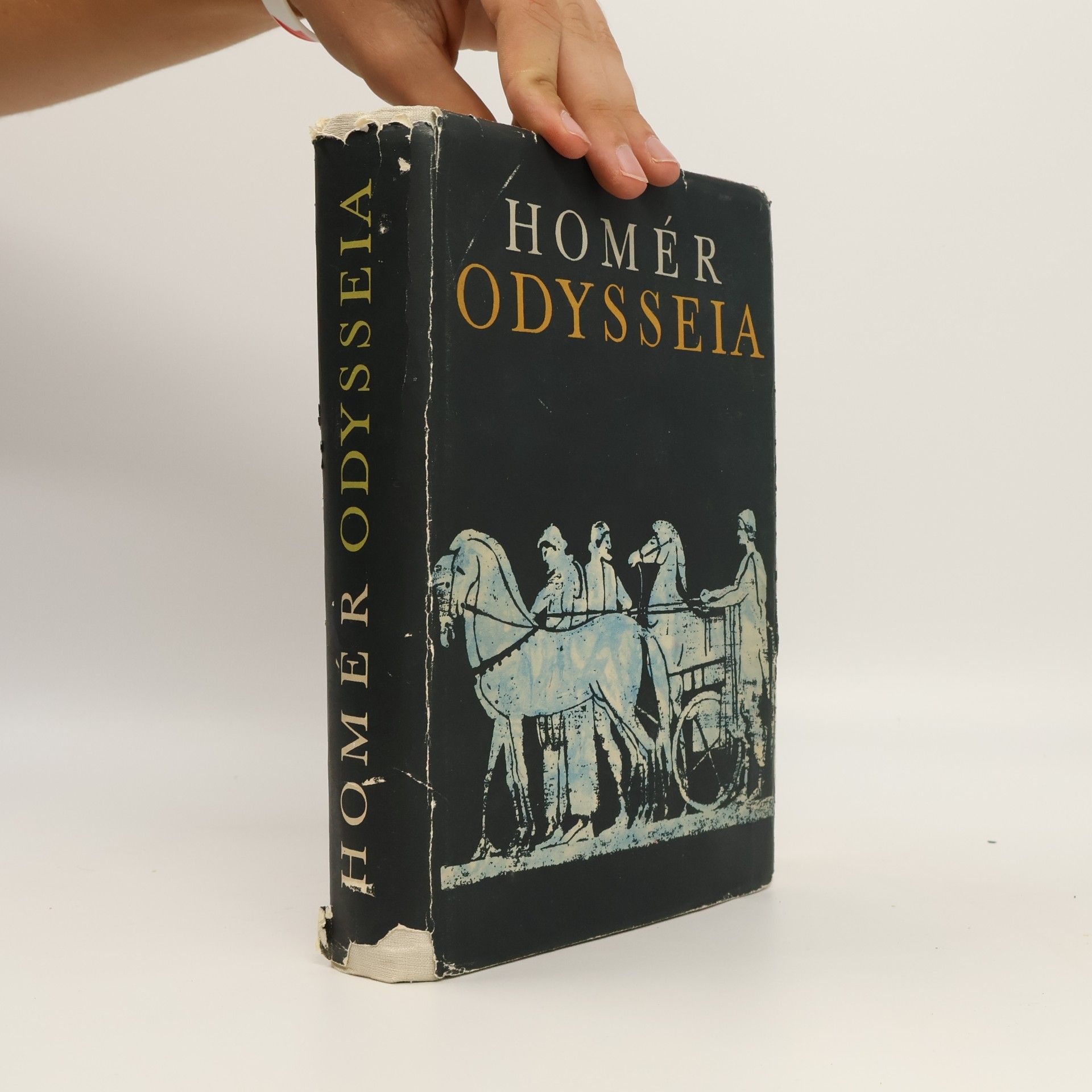 Homér Odysseia