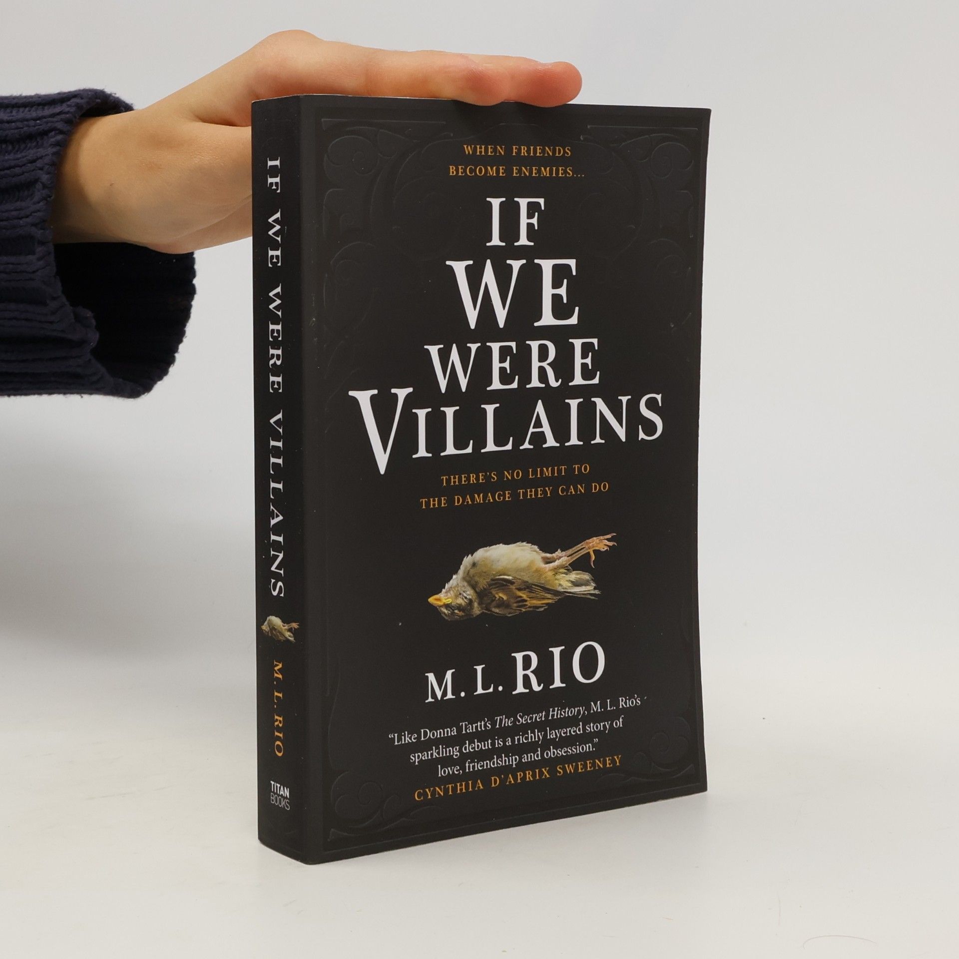 M. L. Rio If We Were Villains