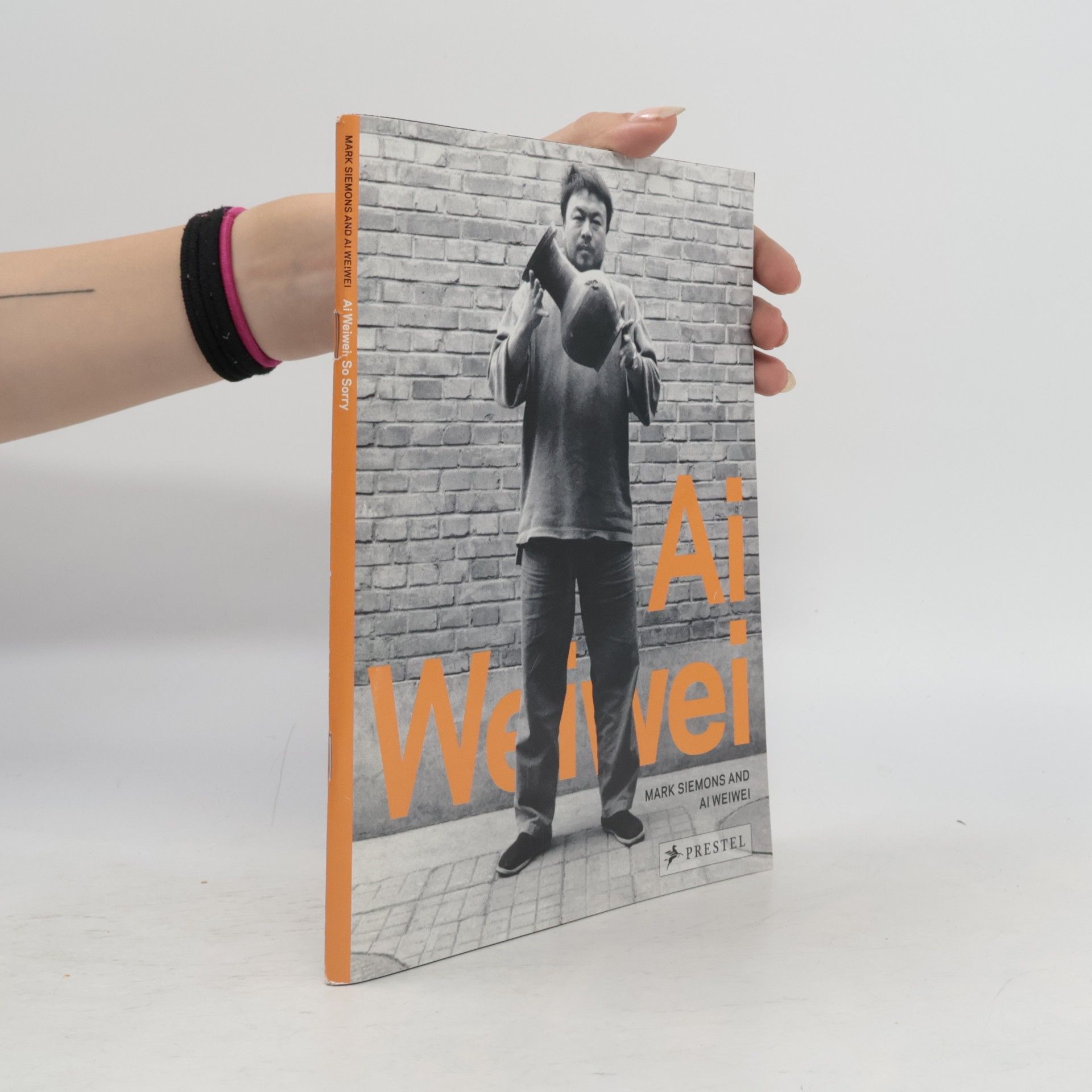 Ai Weiwei Ai Weiwei - So Sorry