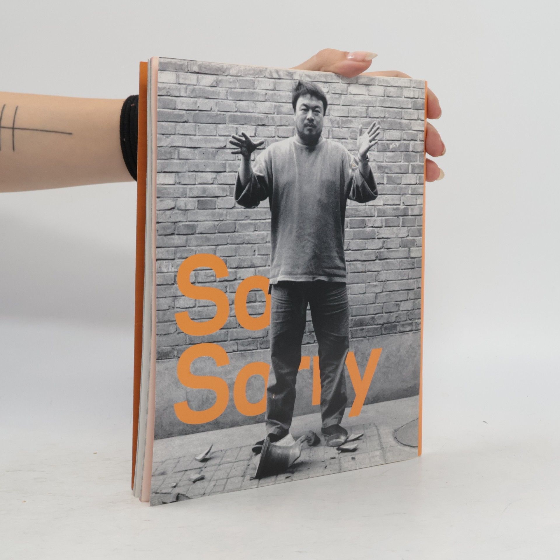 Weiwei Ai Ai Weiwei - So Sorry