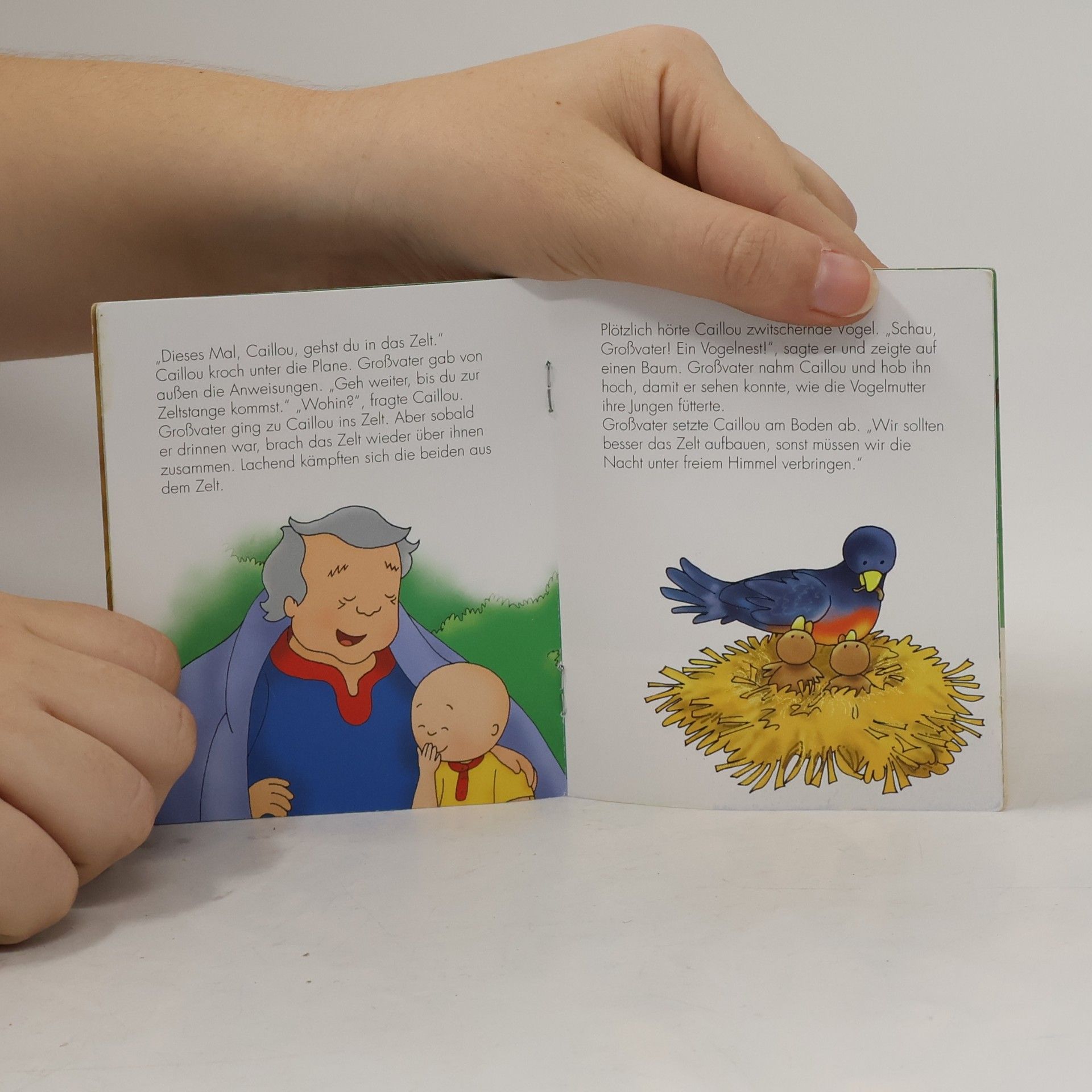 Autorenkollektiv Caillou geht zelten