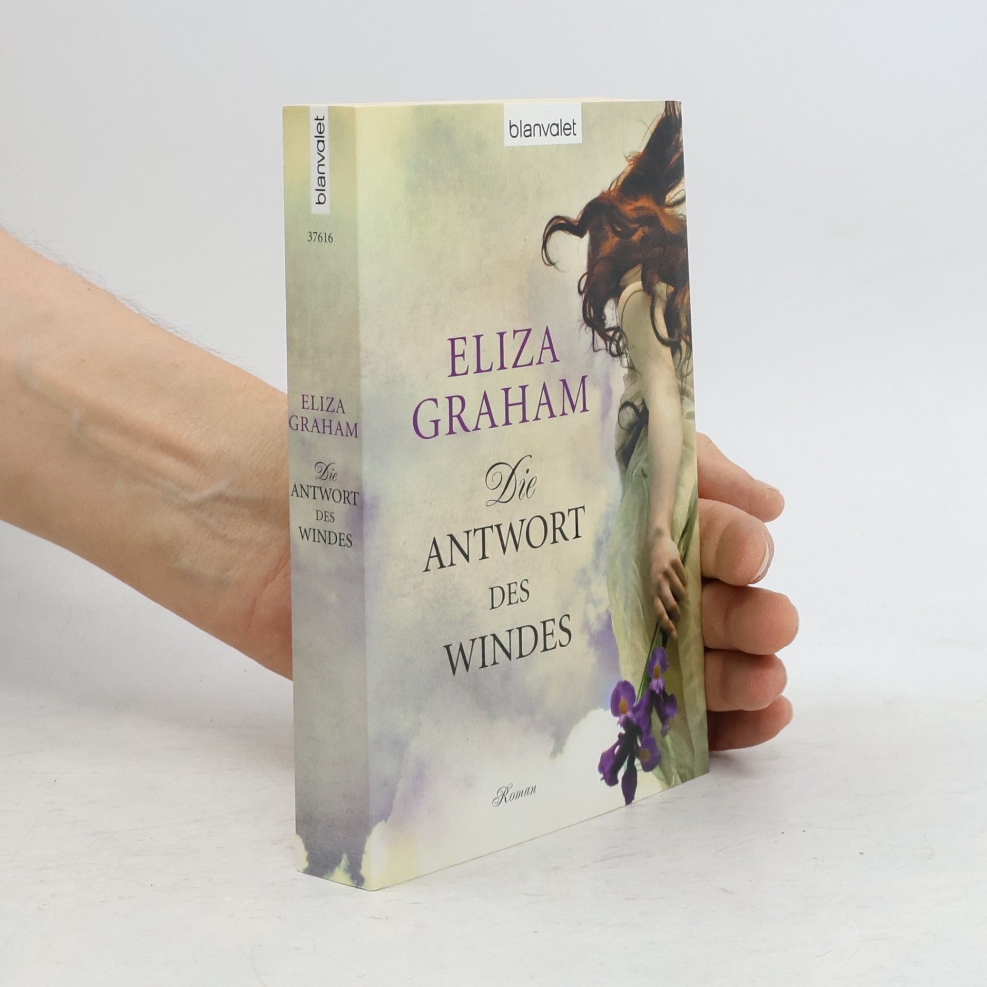 Eliza Graham Die Antwort des Windes